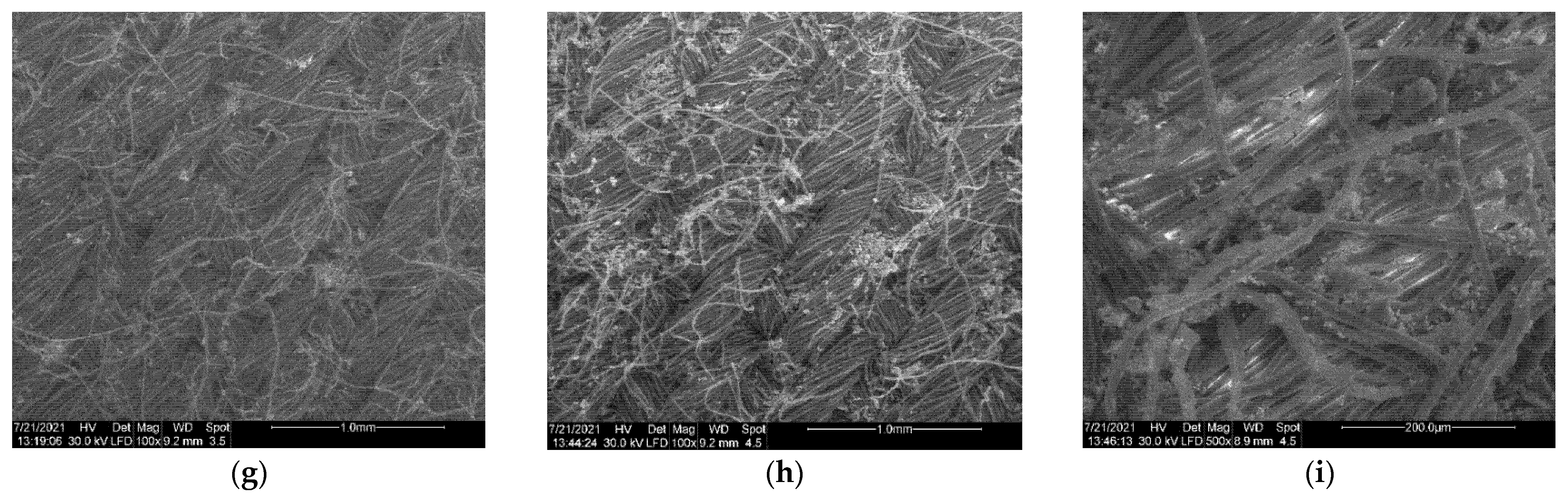 Nanomaterials 11 02574 g007b