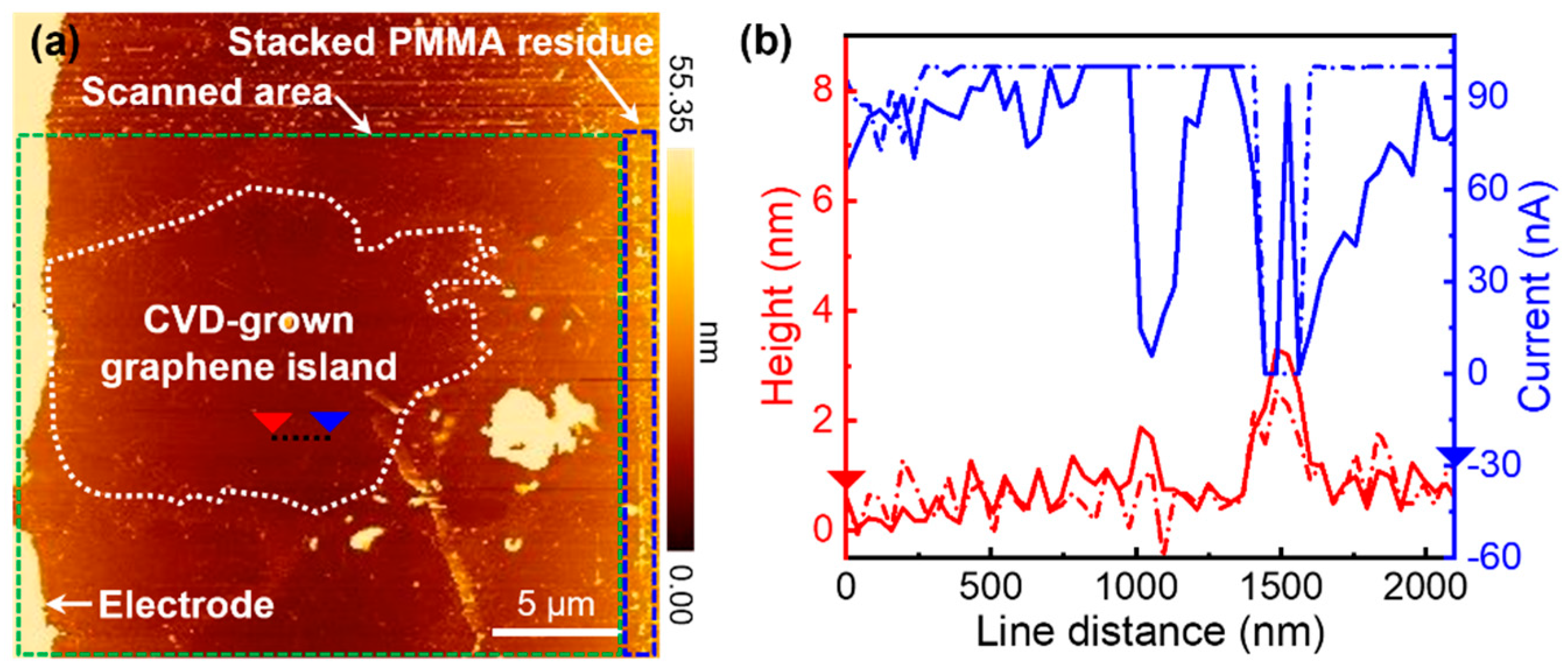 Nanomaterials 11 02575 g003