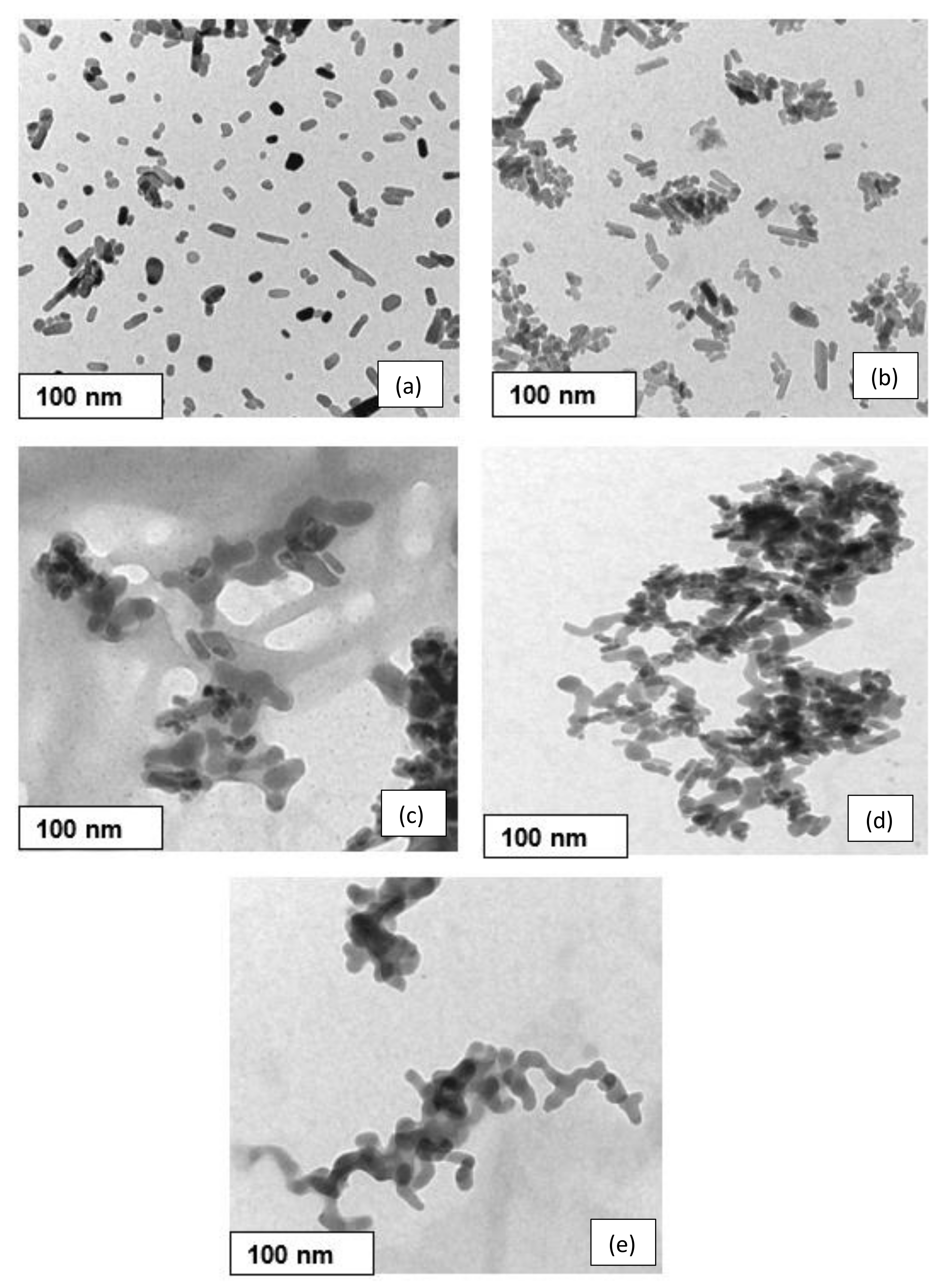 Nanomaterials 11 02576 g004