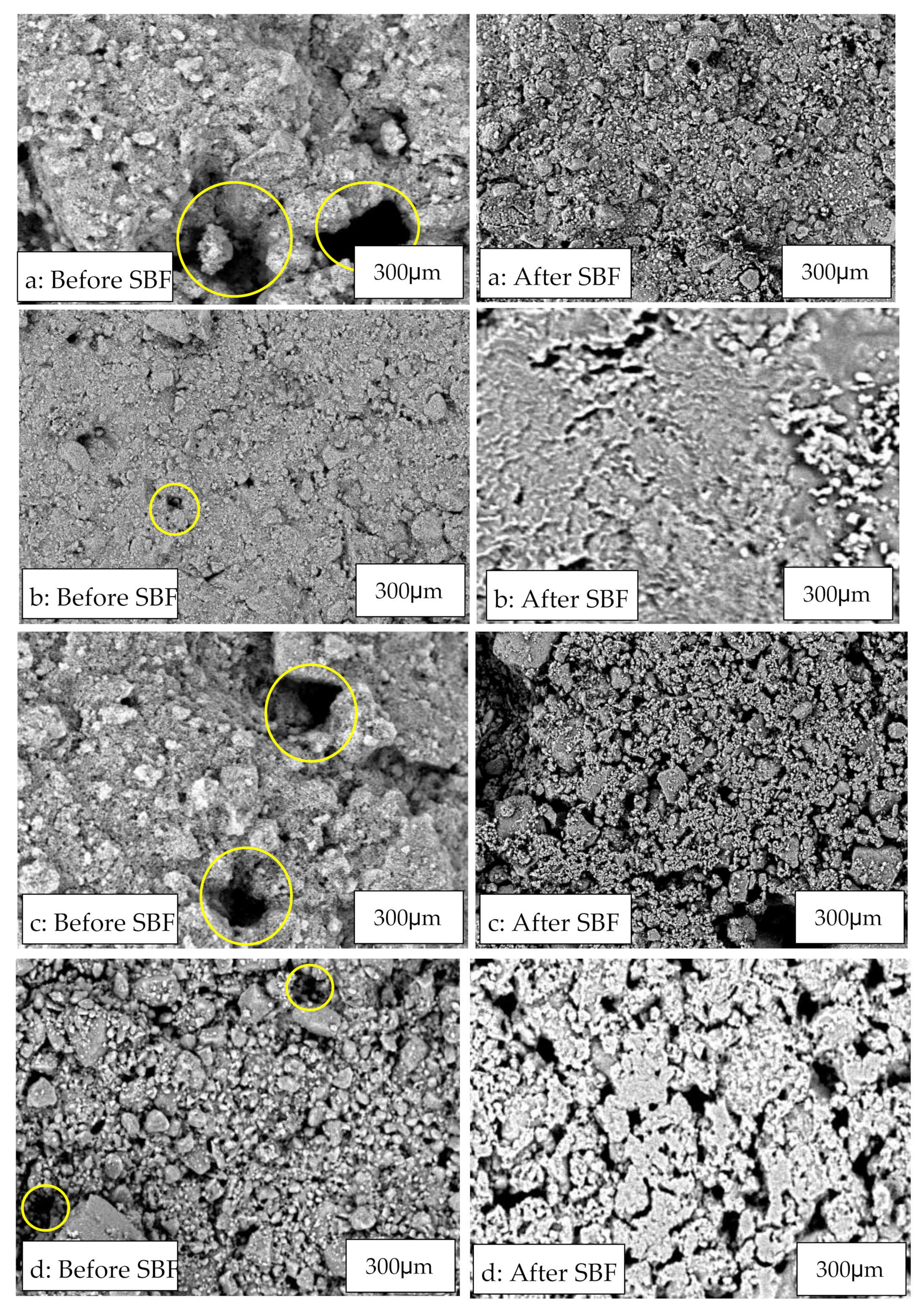 Nanomaterials 11 02576 g006
