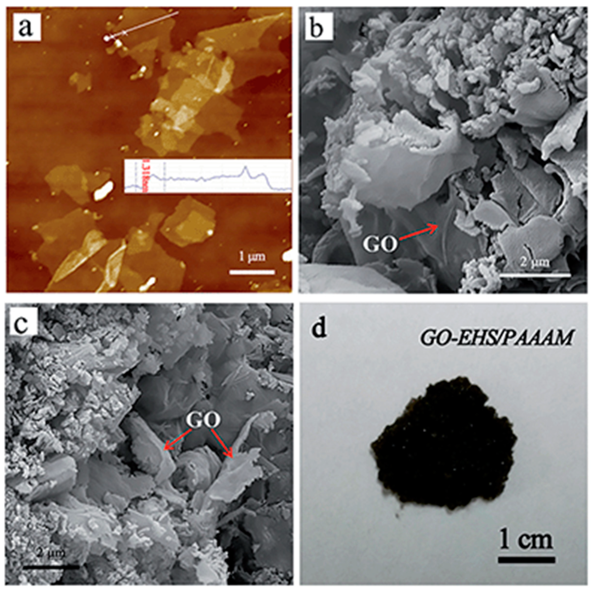 Nanomaterials 11 02578 g004
