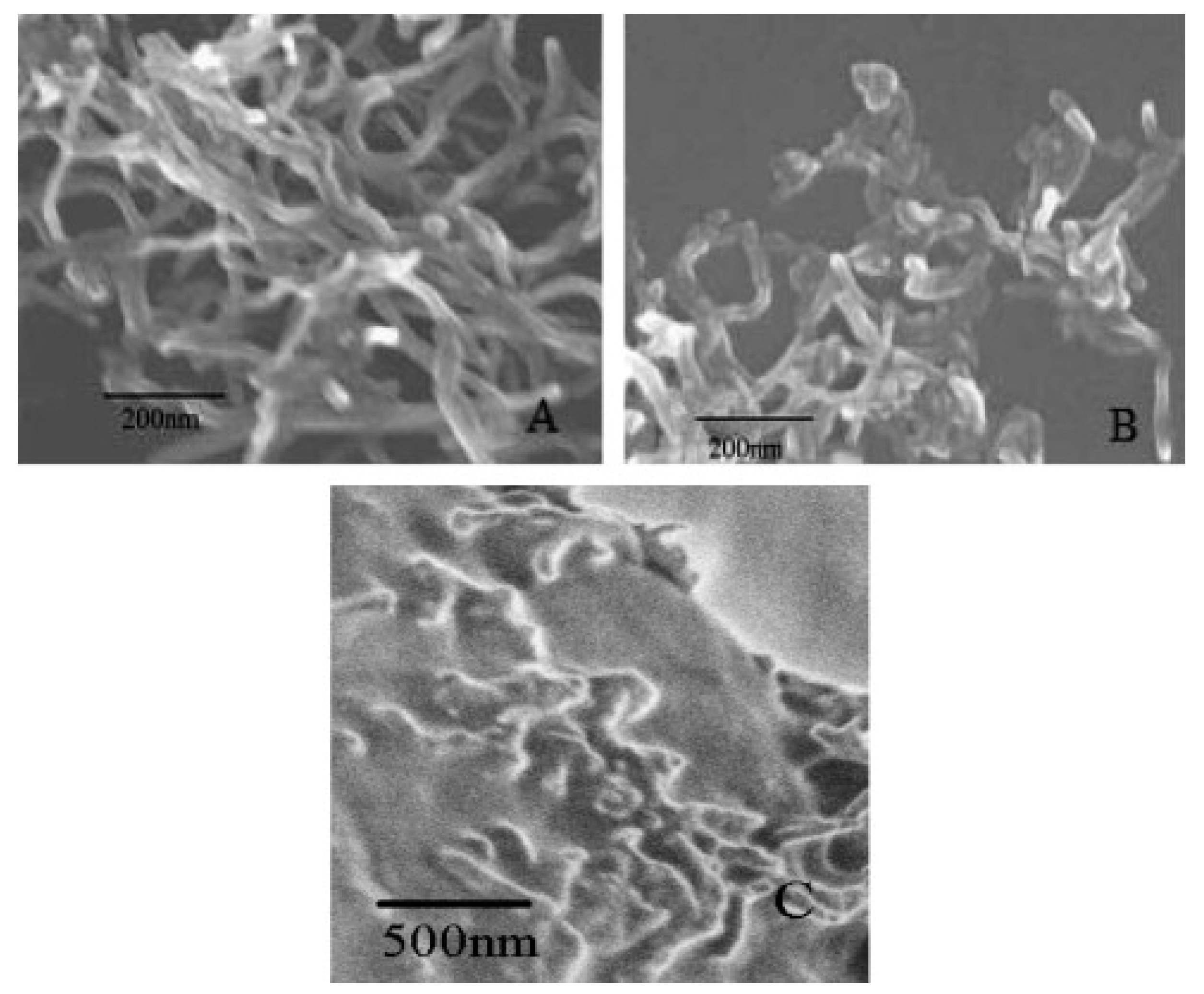 Nanomaterials 11 02578 g006