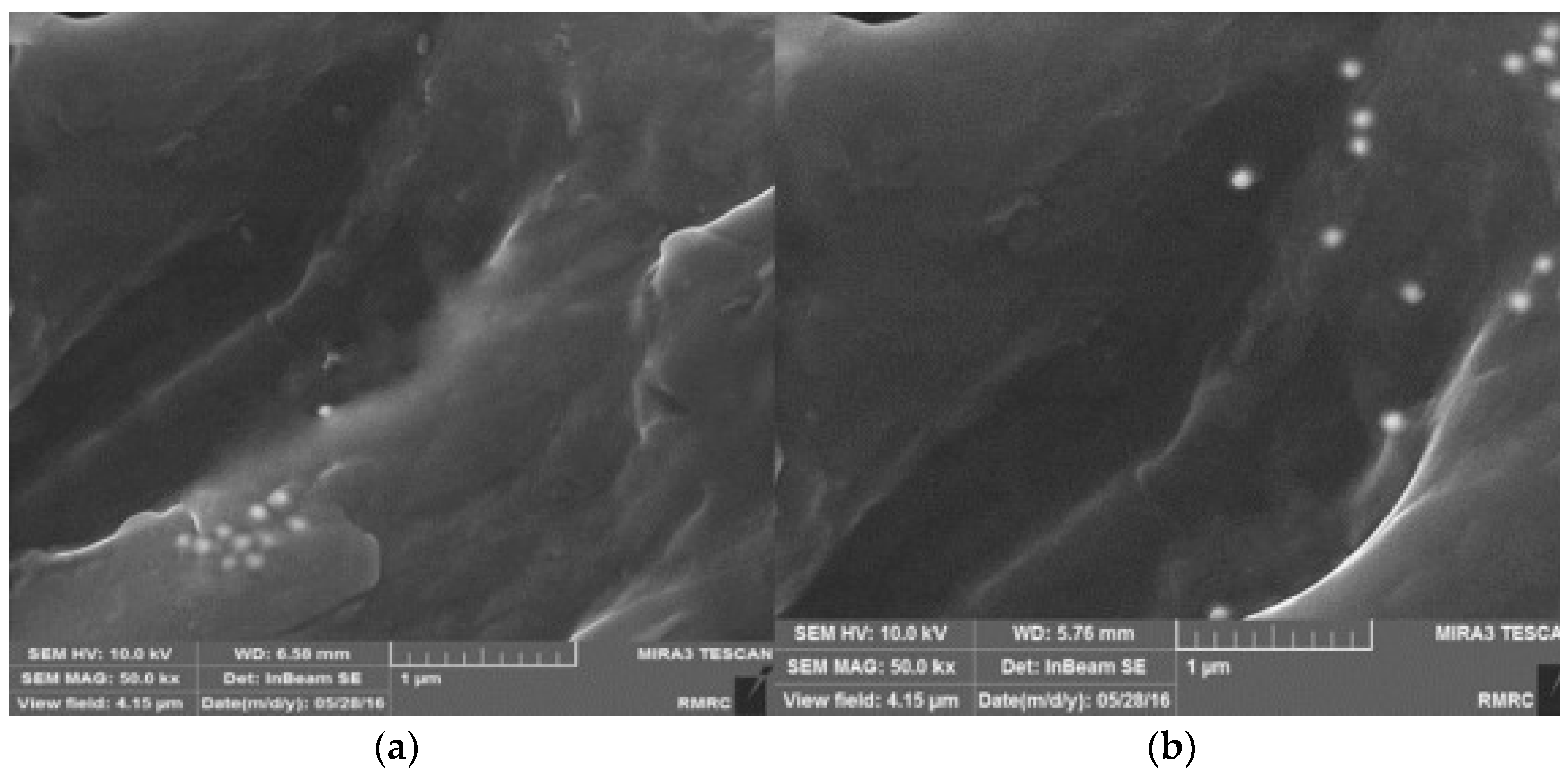 Nanomaterials 11 02578 g018