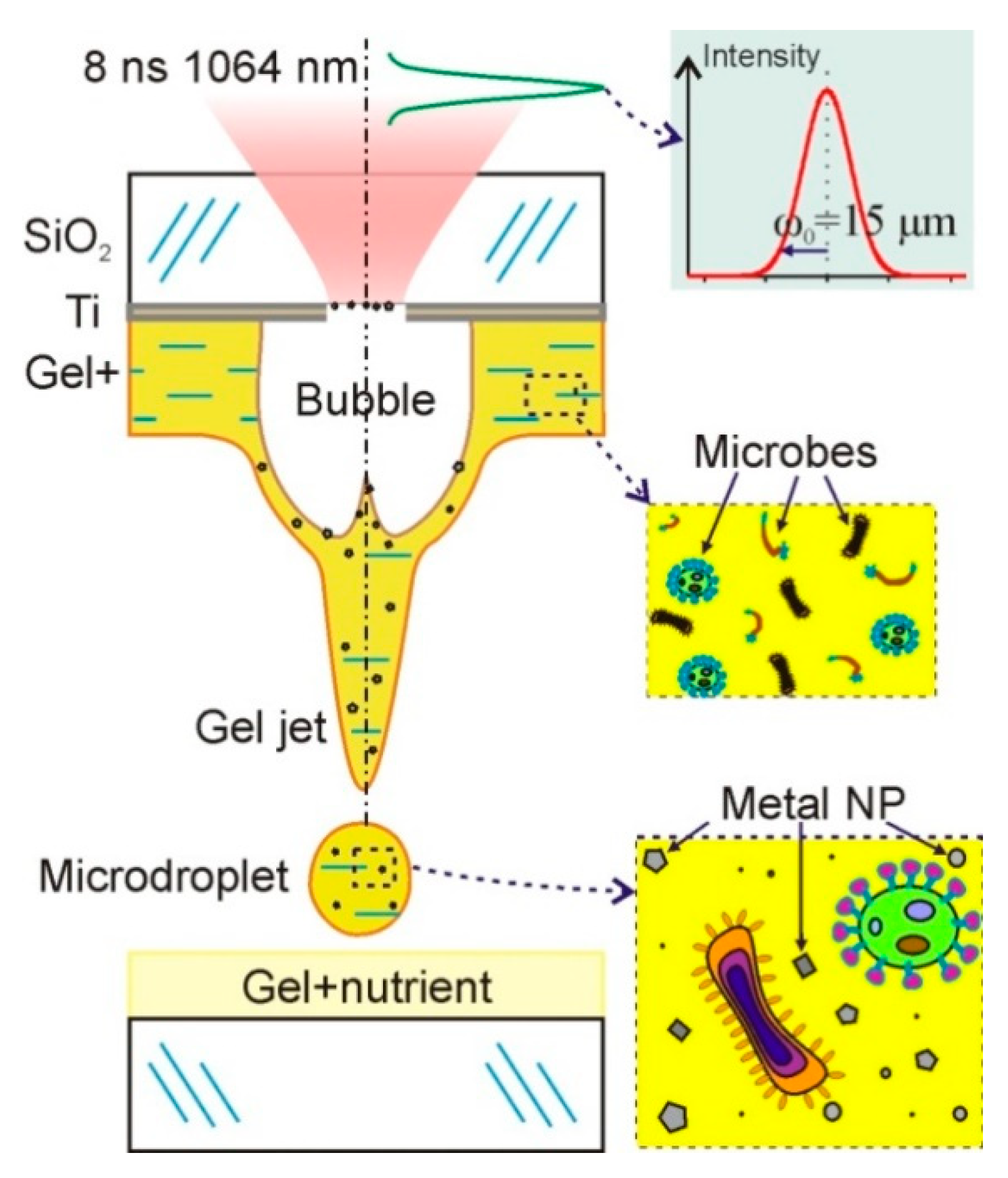 Nanomaterials 11 02584 g001