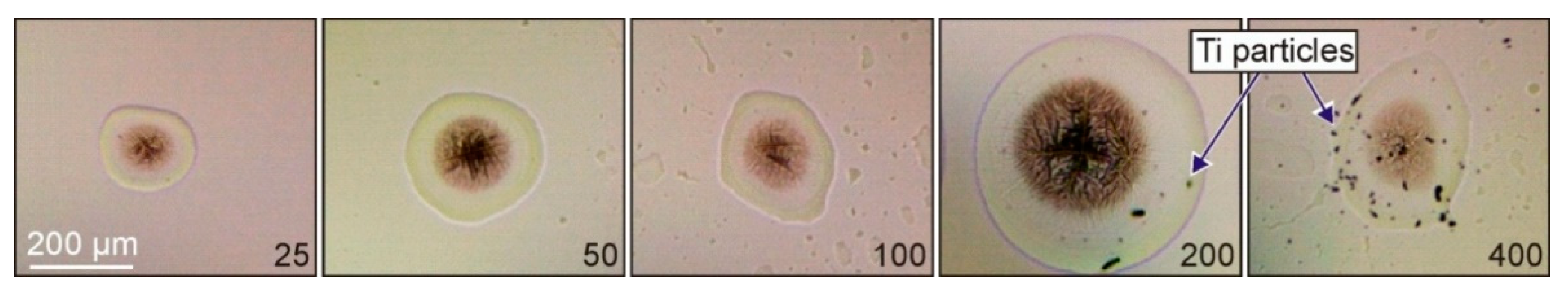 Nanomaterials 11 02584 g002