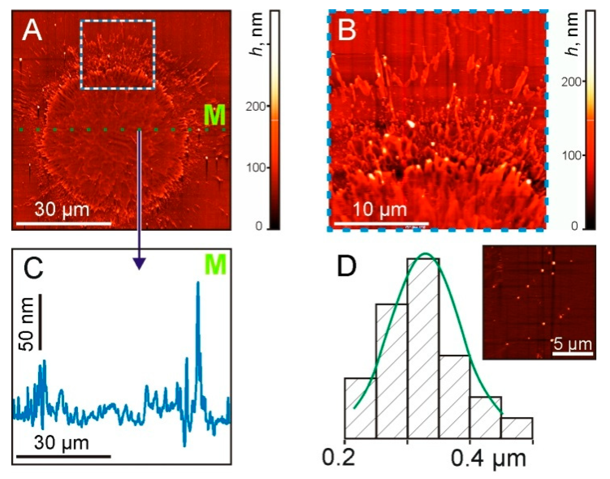 Nanomaterials 11 02584 g007