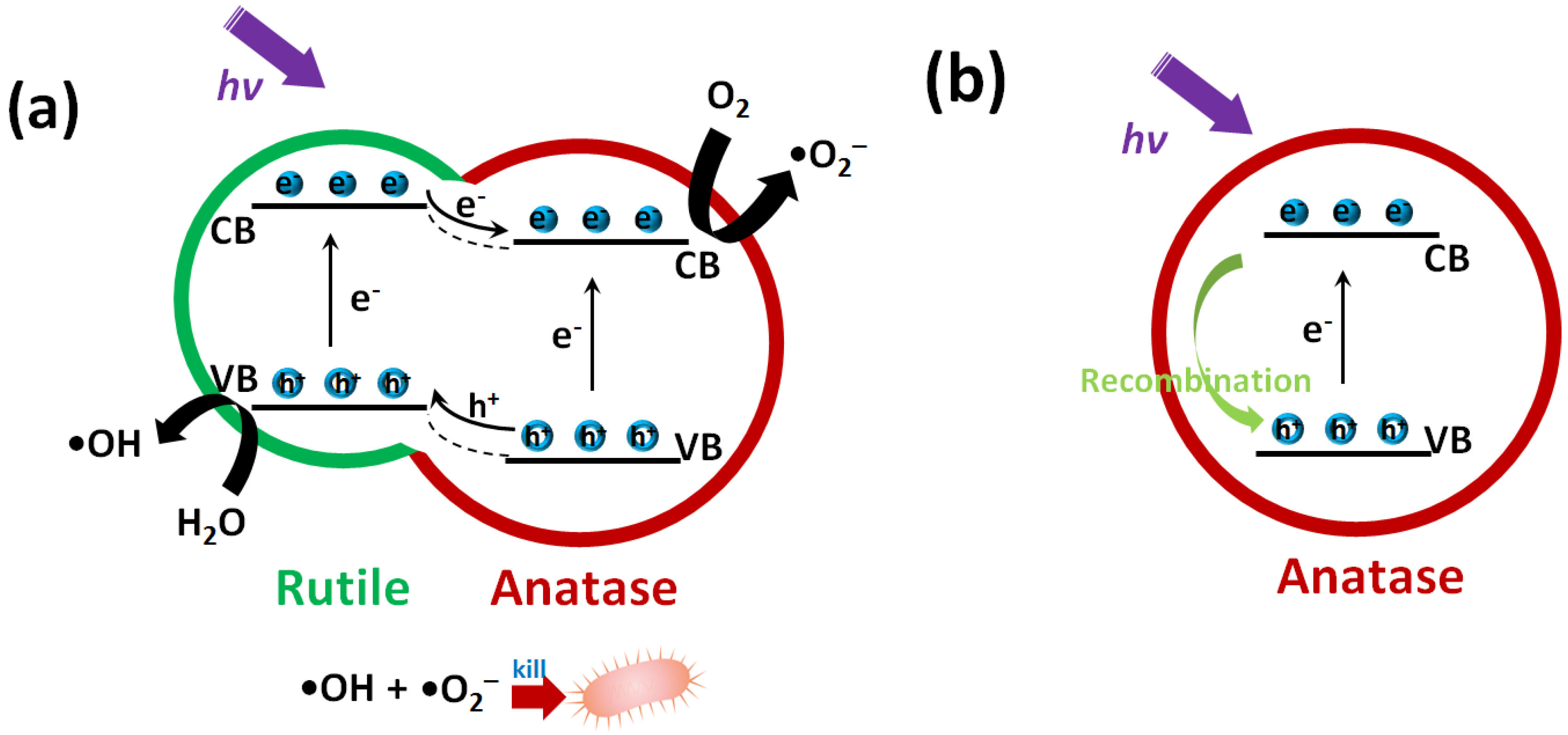 Nanomaterials 11 02585 g007