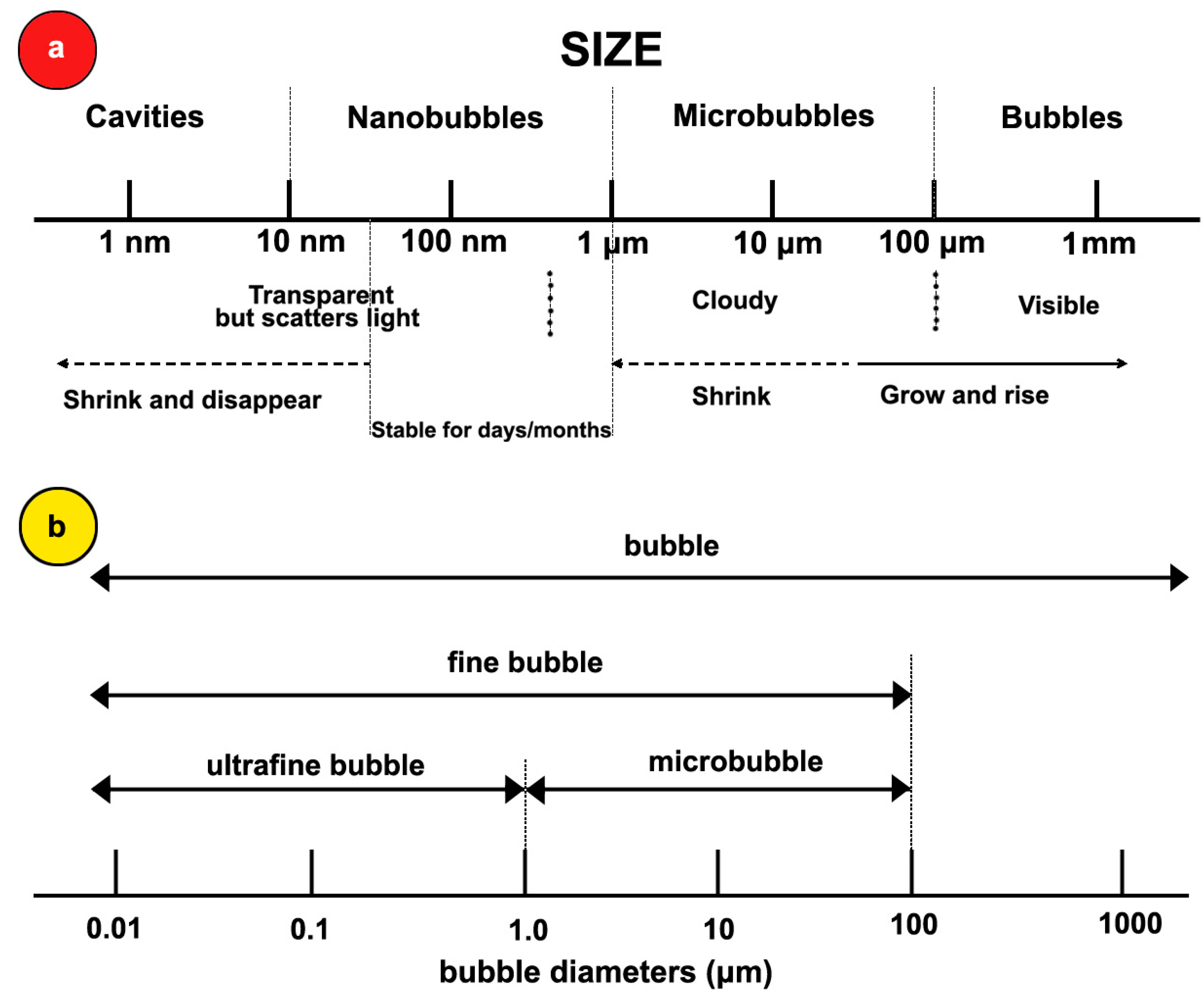 Nanomaterials 11 02592 g001
