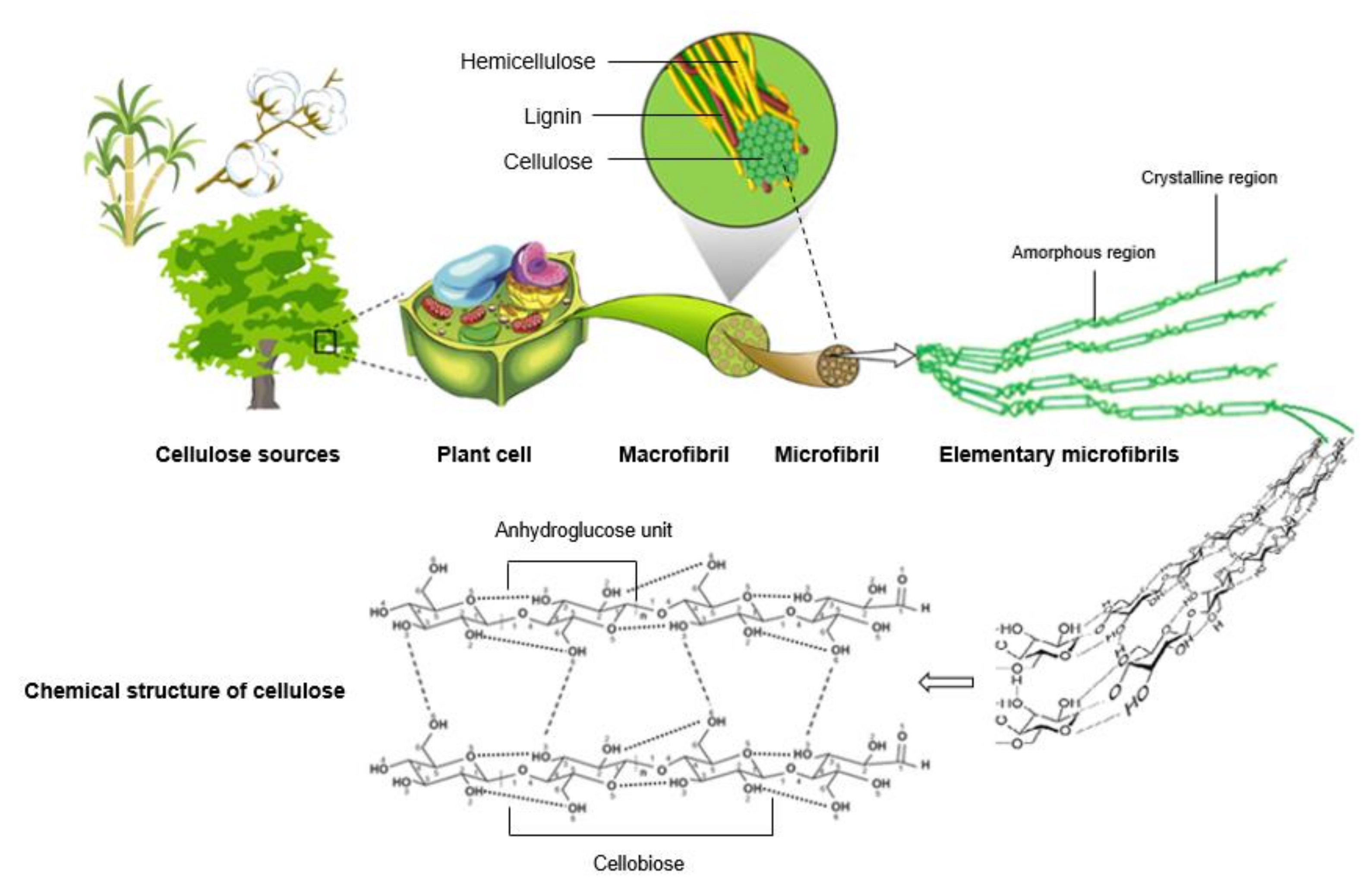 Nanomaterials 11 02593 g003