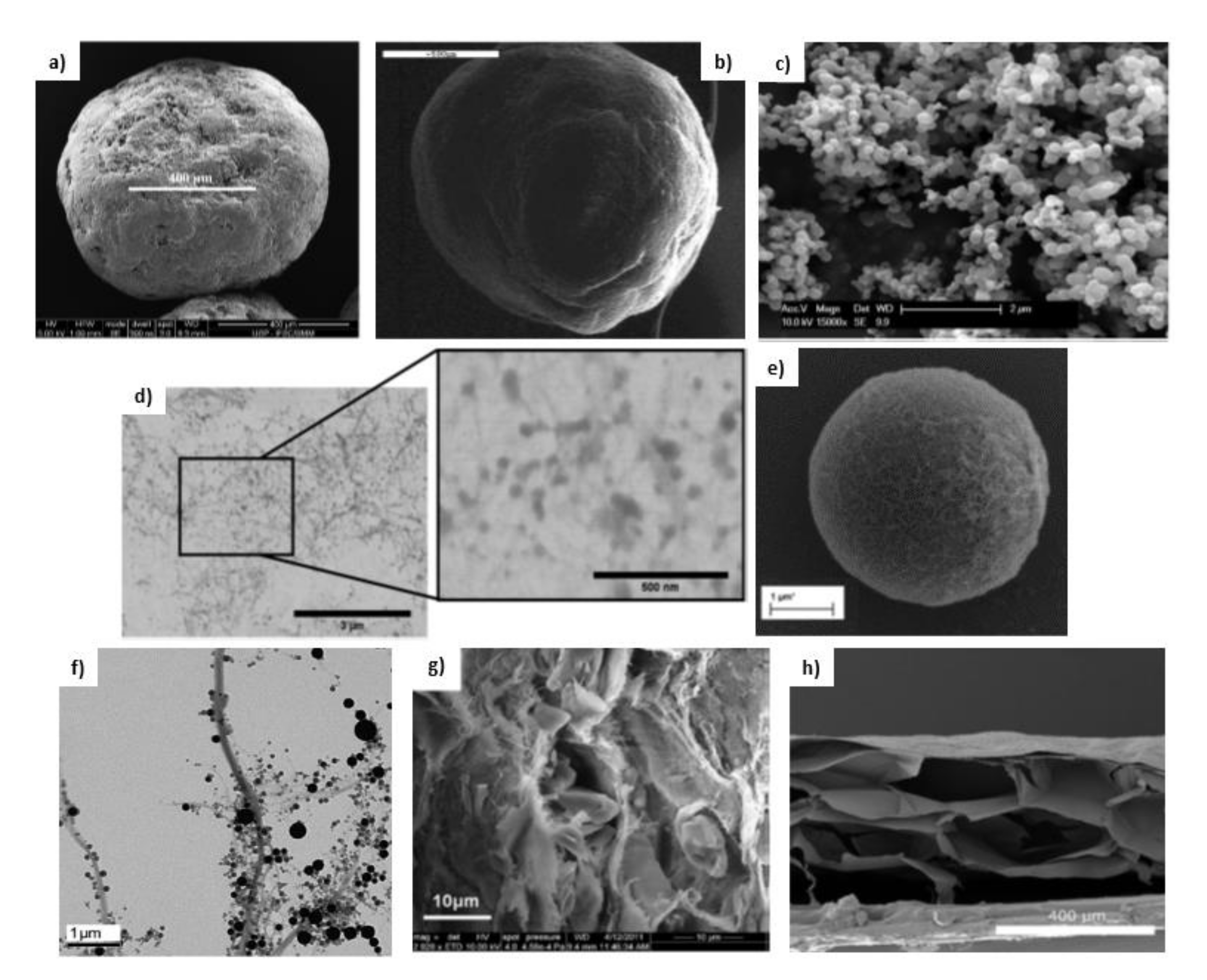 Nanomaterials 11 02593 g006