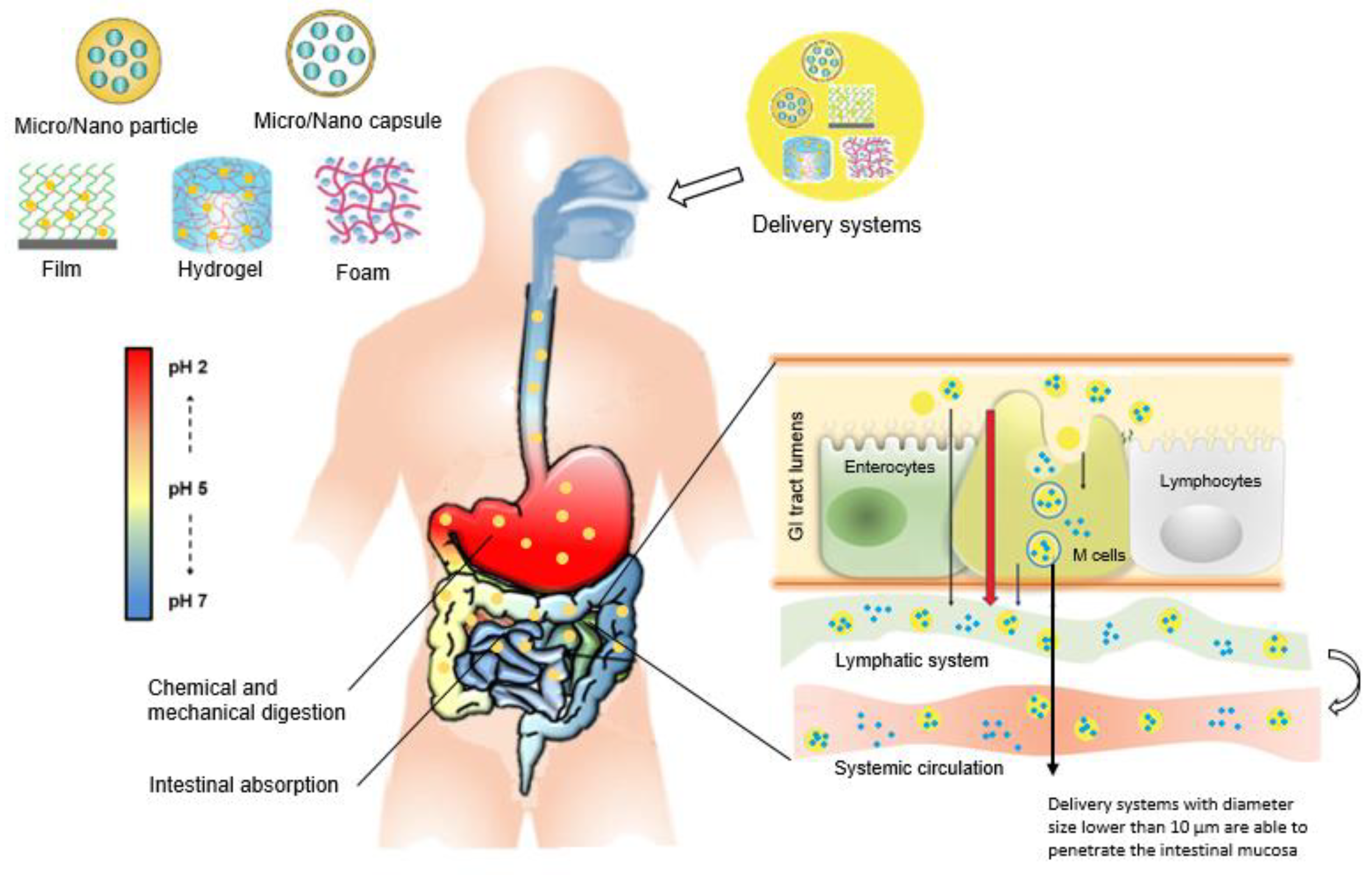 Nanomaterials 11 02593 g007