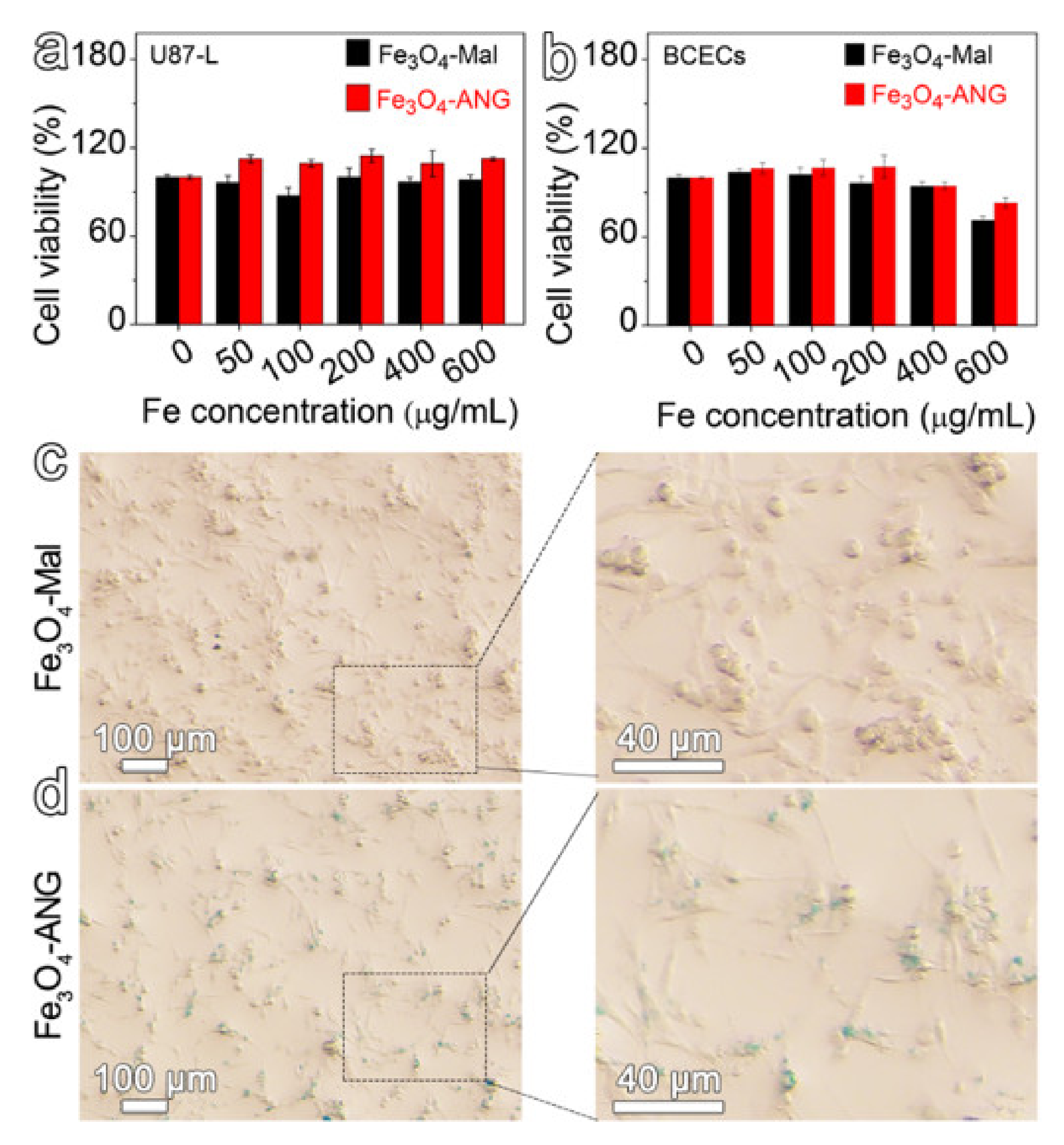 Nanomaterials 11 02601 g003