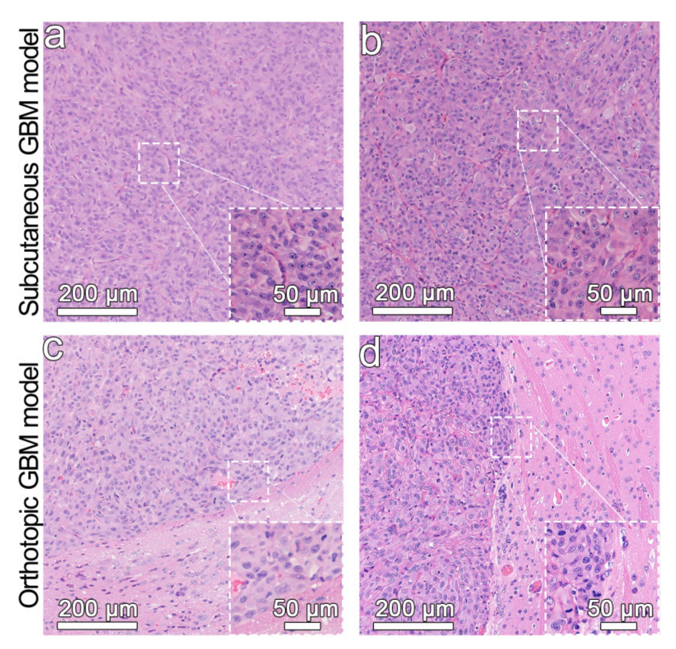 Nanomaterials 11 02601 g004