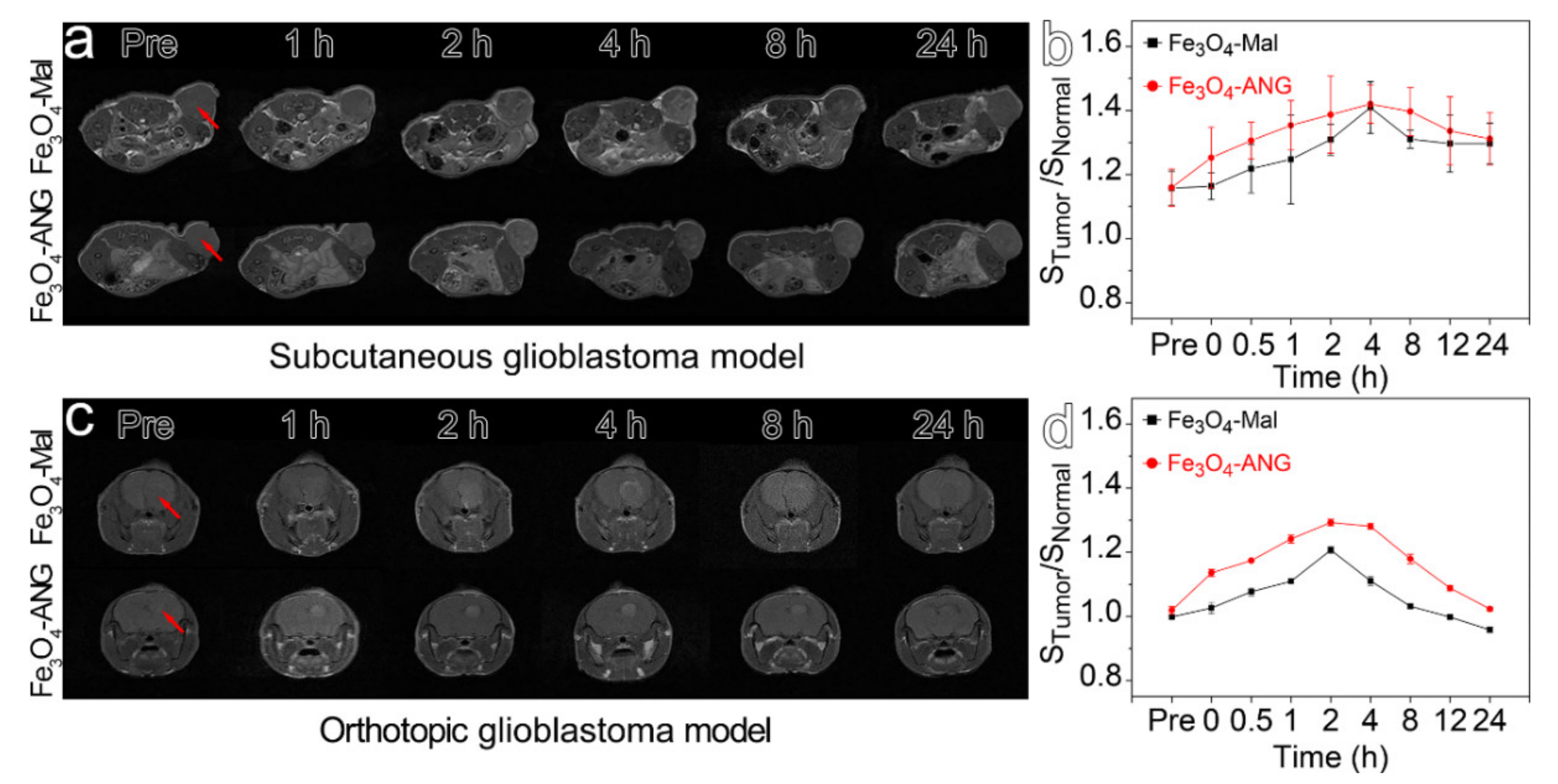 Nanomaterials 11 02601 g005