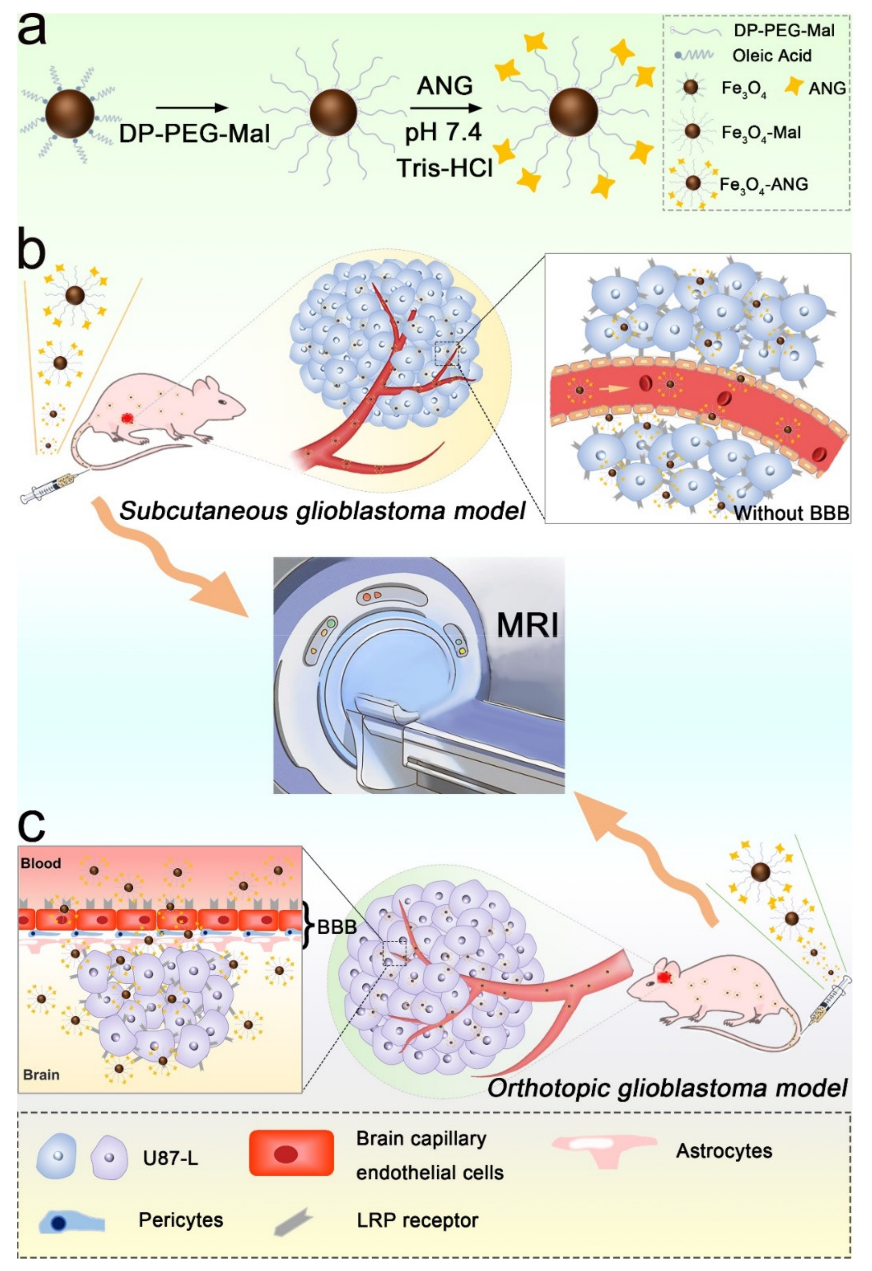 Nanomaterials 11 02601 sch001