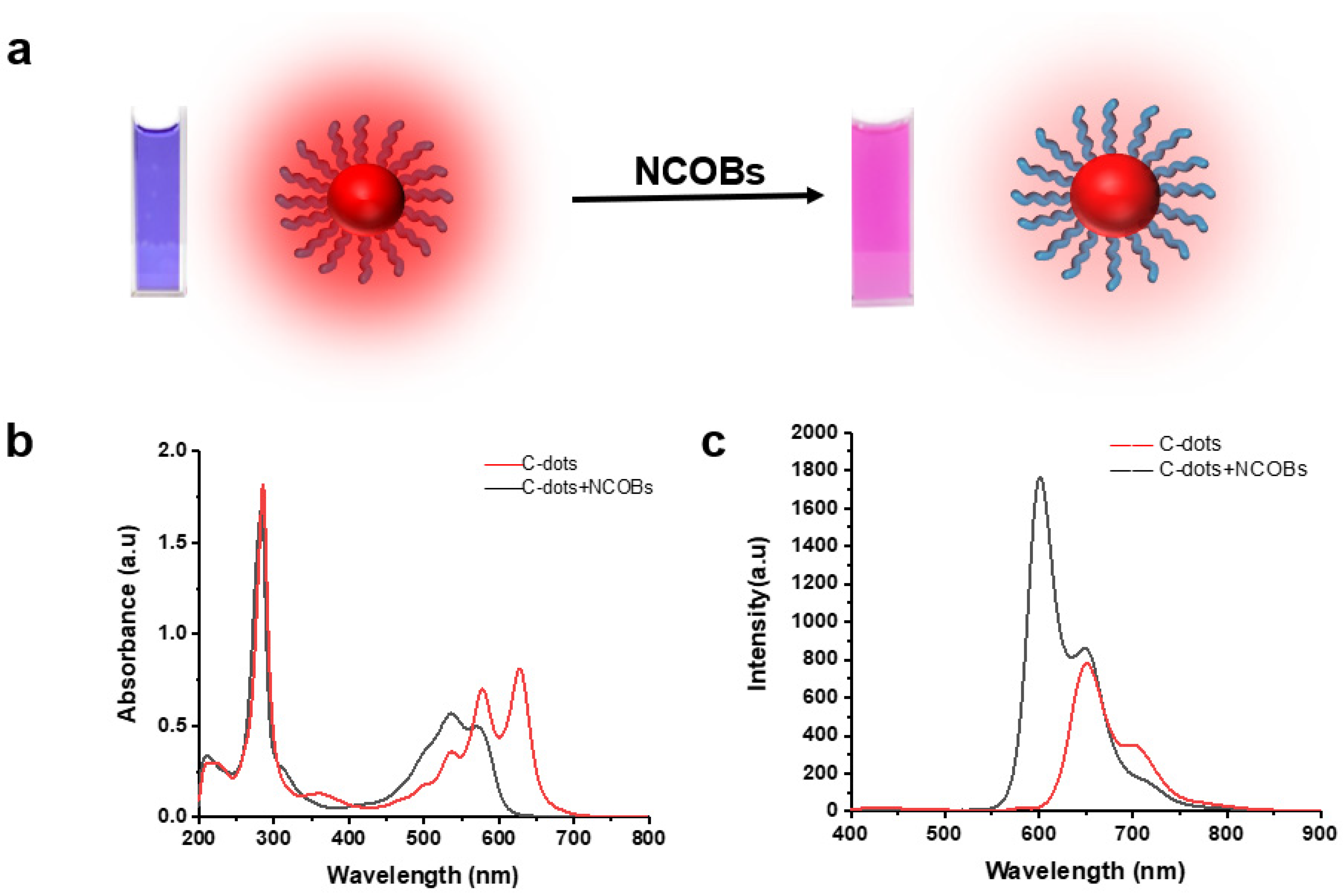 Nanomaterials 11 02607 g004