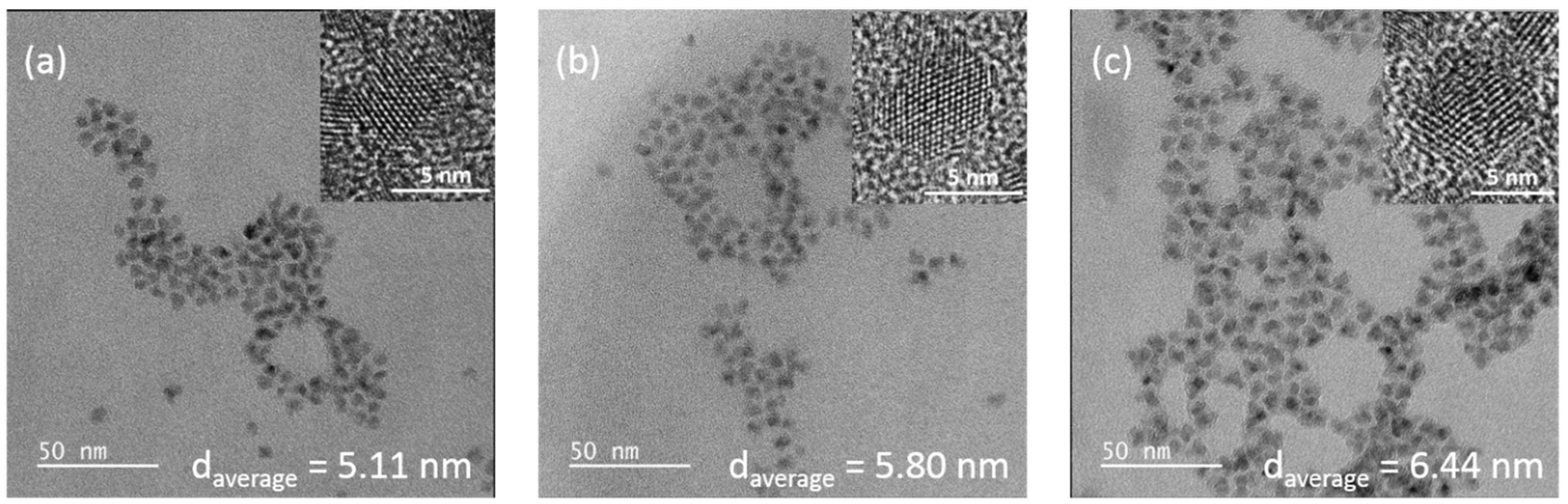 Nanomaterials 11 02616 g003