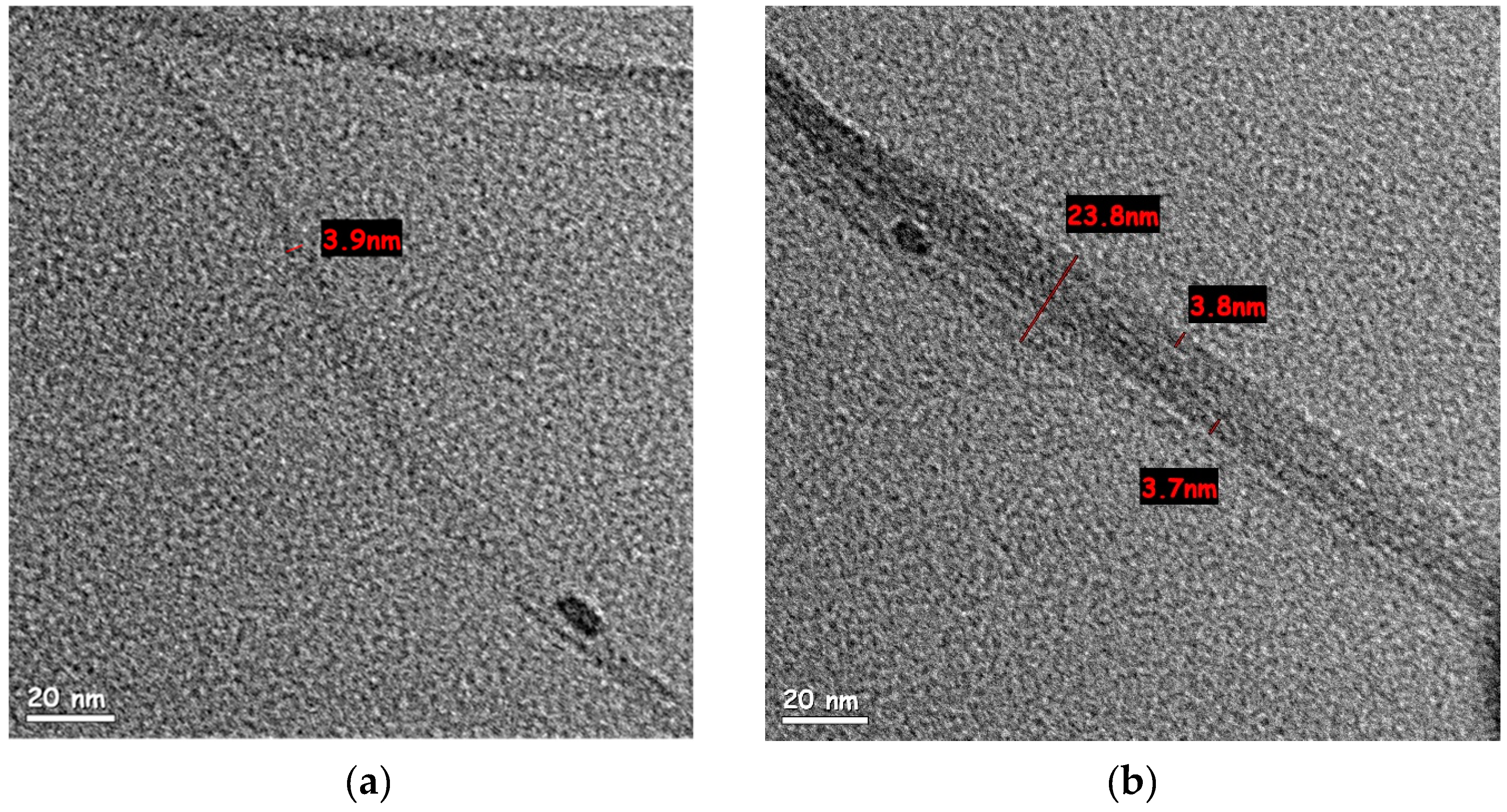 Nanomaterials 11 02618 g003a