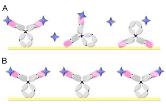 Nanomaterials 11 02620 g002