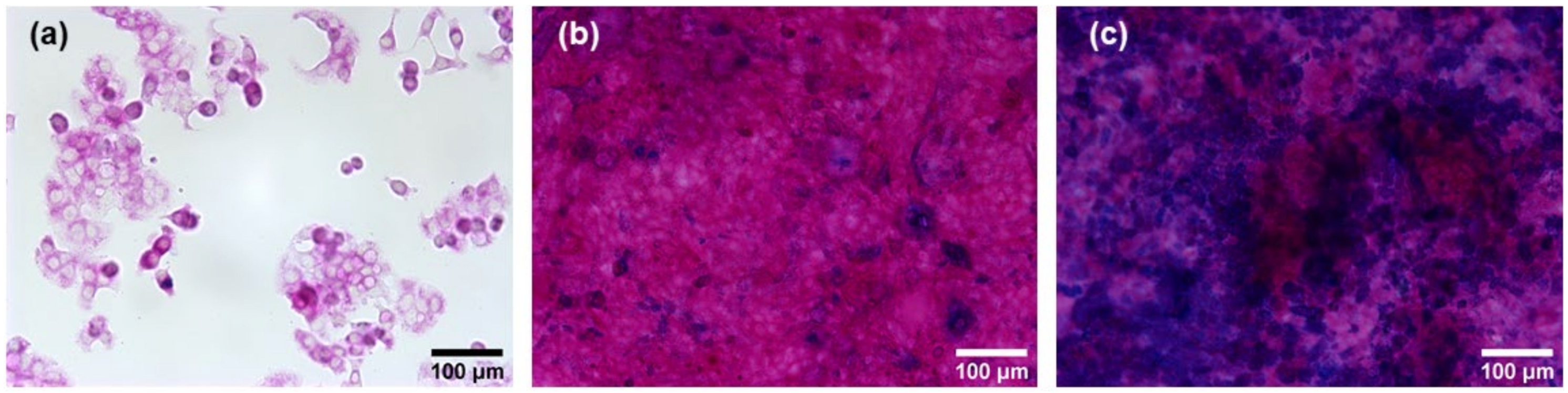 Nanomaterials 11 02621 g002