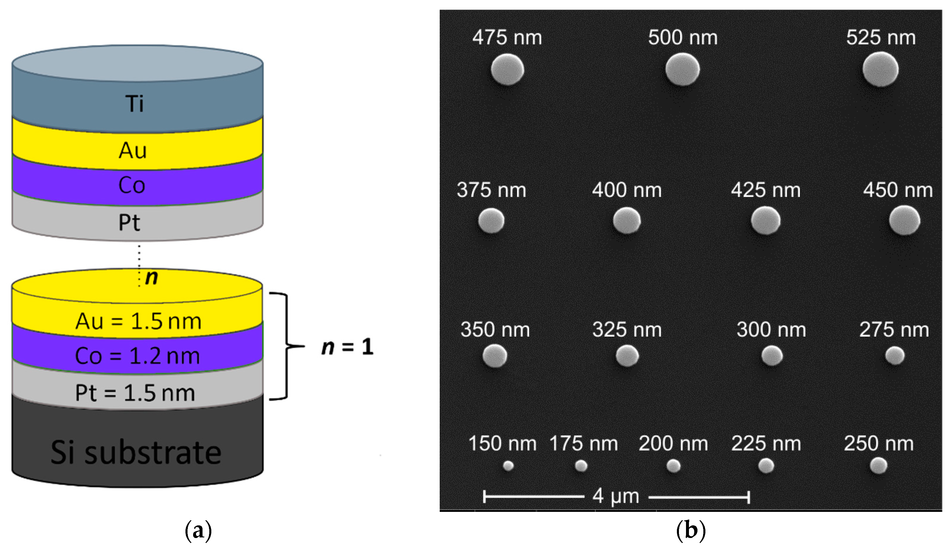 Nanomaterials 11 02627 g001