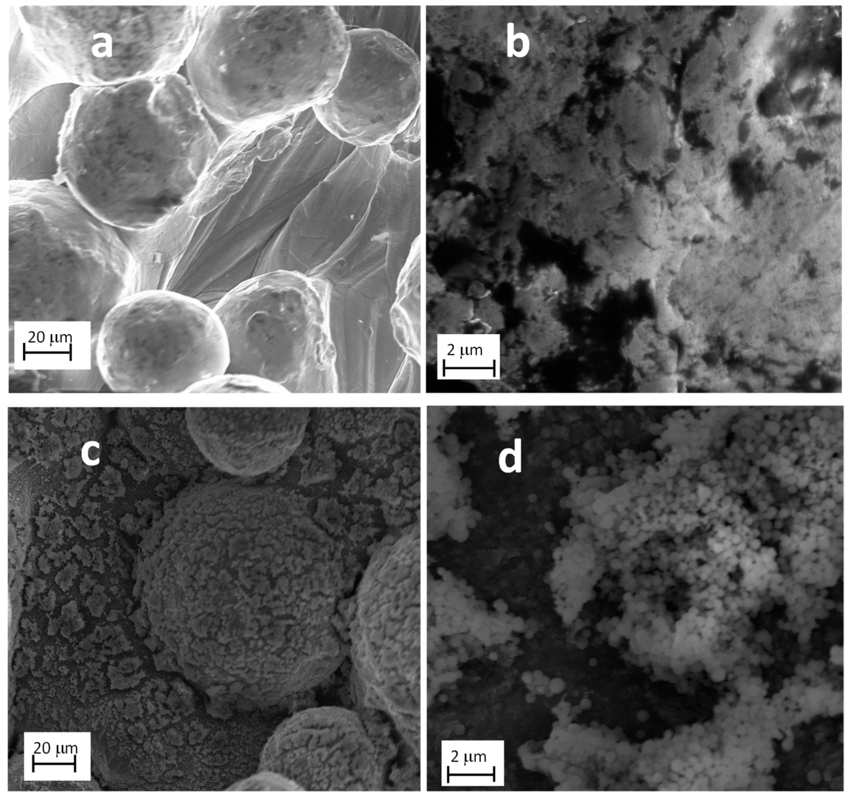 Nanomaterials 11 02634 g002