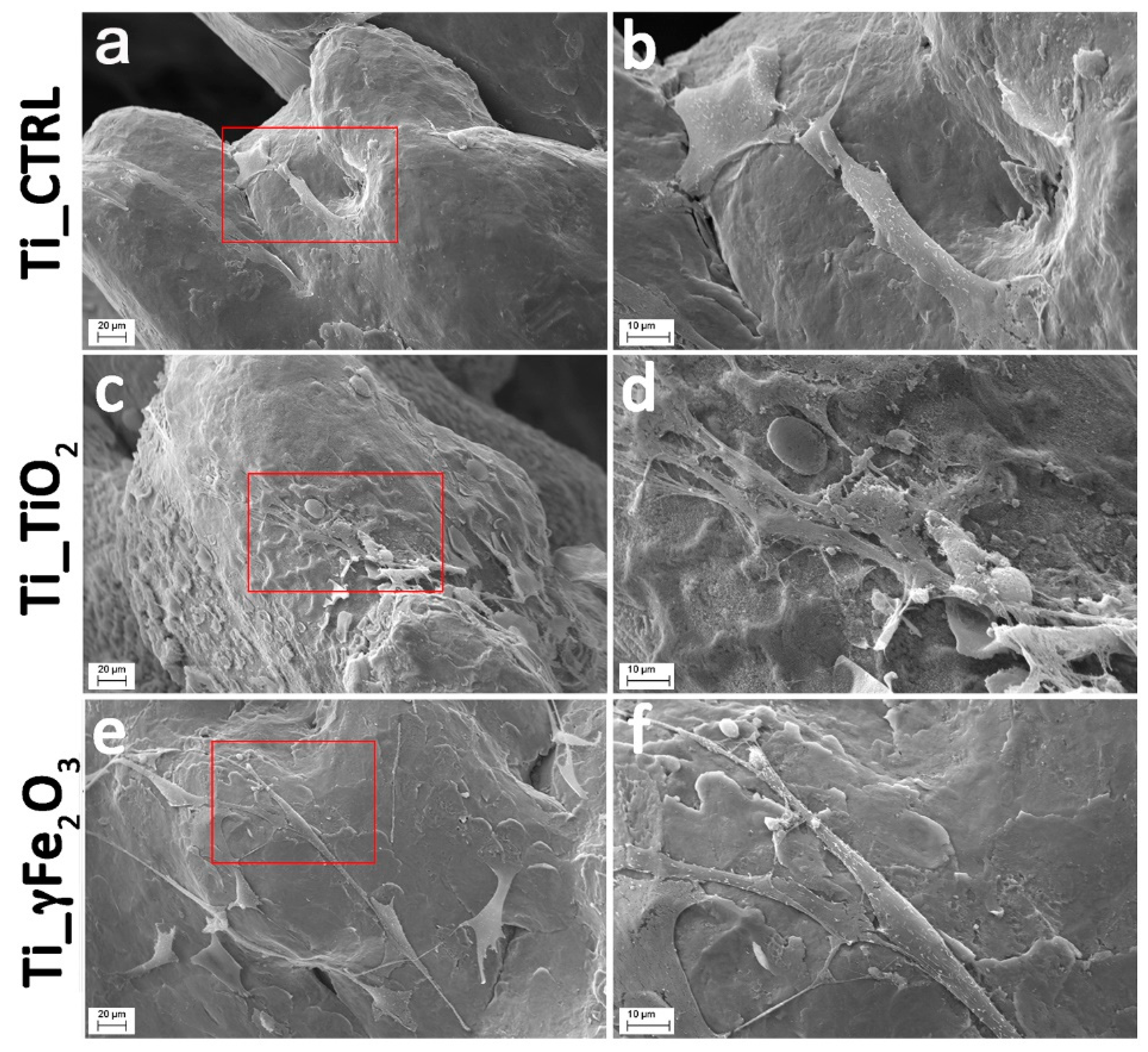 Nanomaterials 11 02634 g005