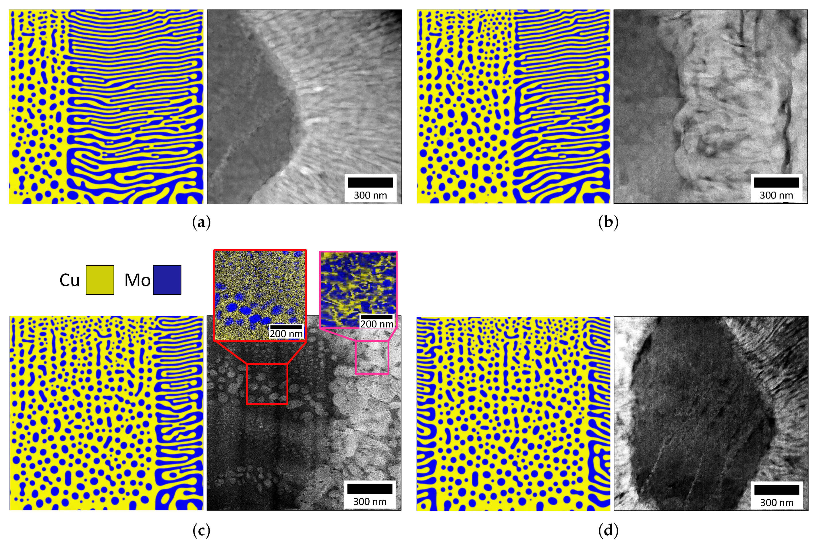 Nanomaterials 11 02635 g003