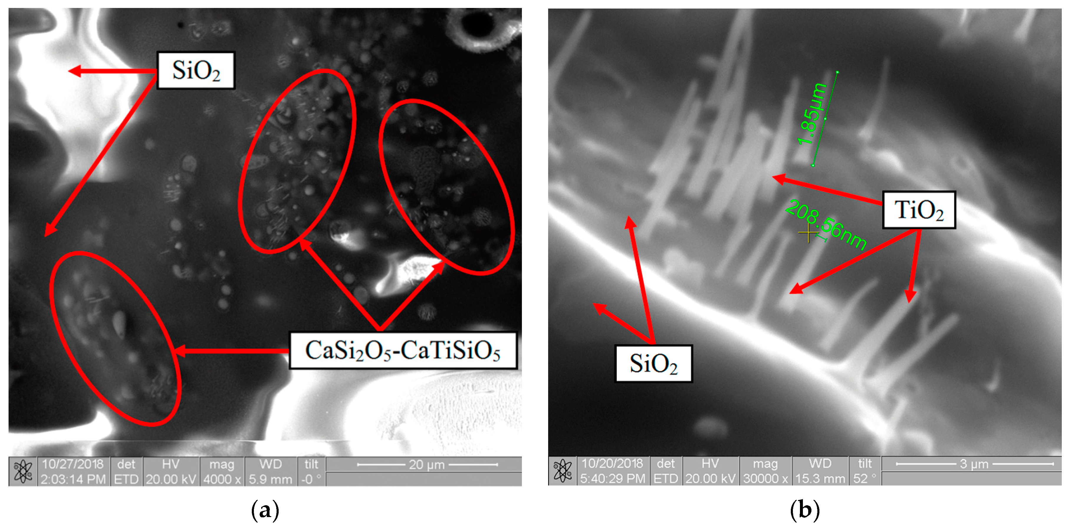 Nanomaterials 11 02637 g012