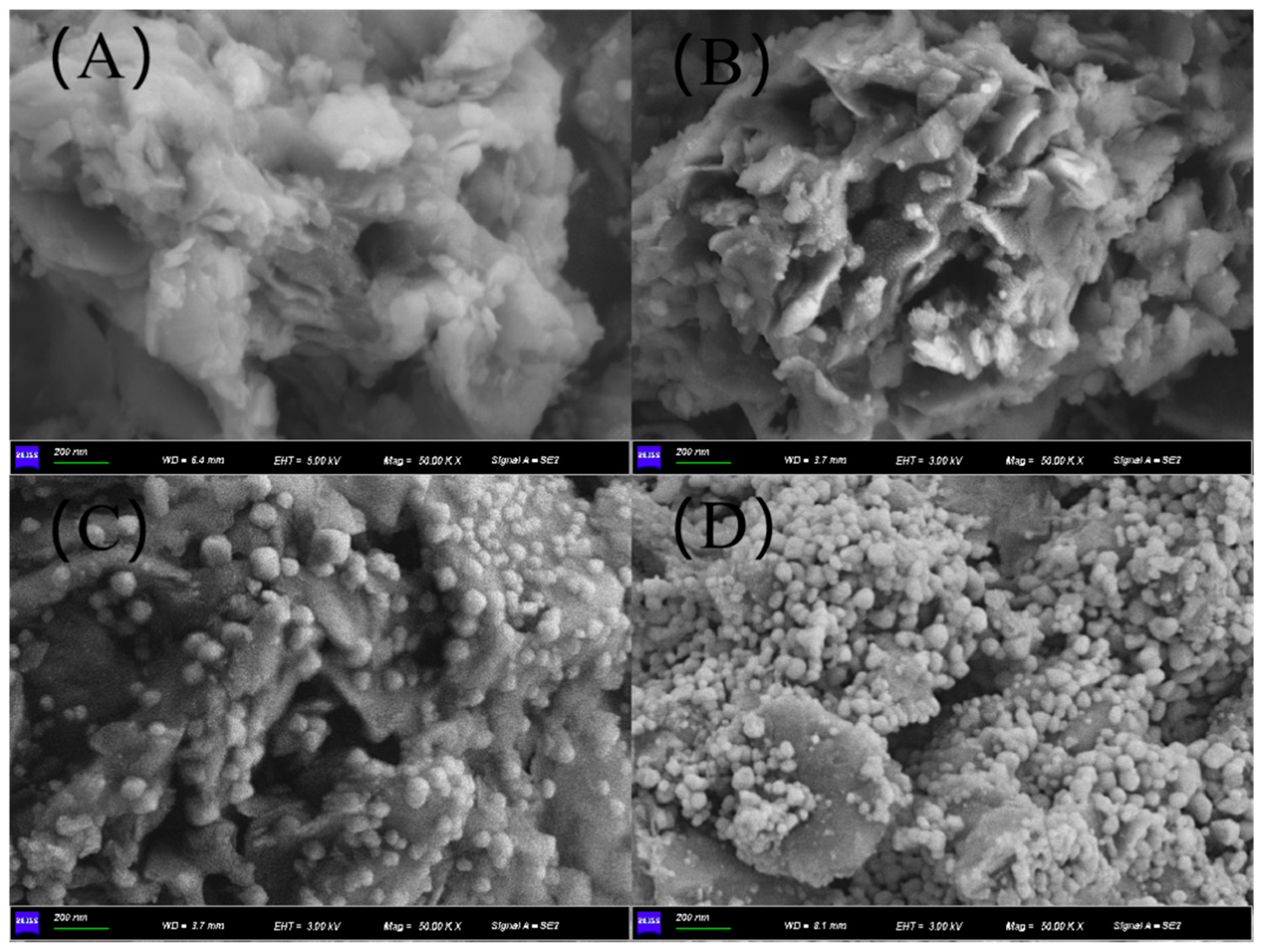 Nanomaterials 11 02641 g004