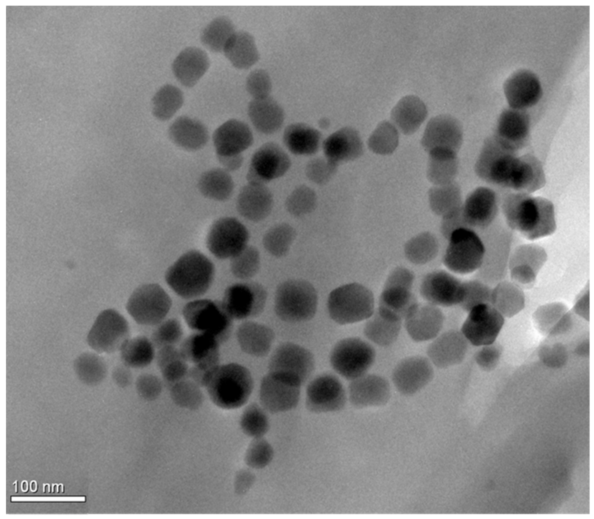 Nanomaterials 11 02643 g001