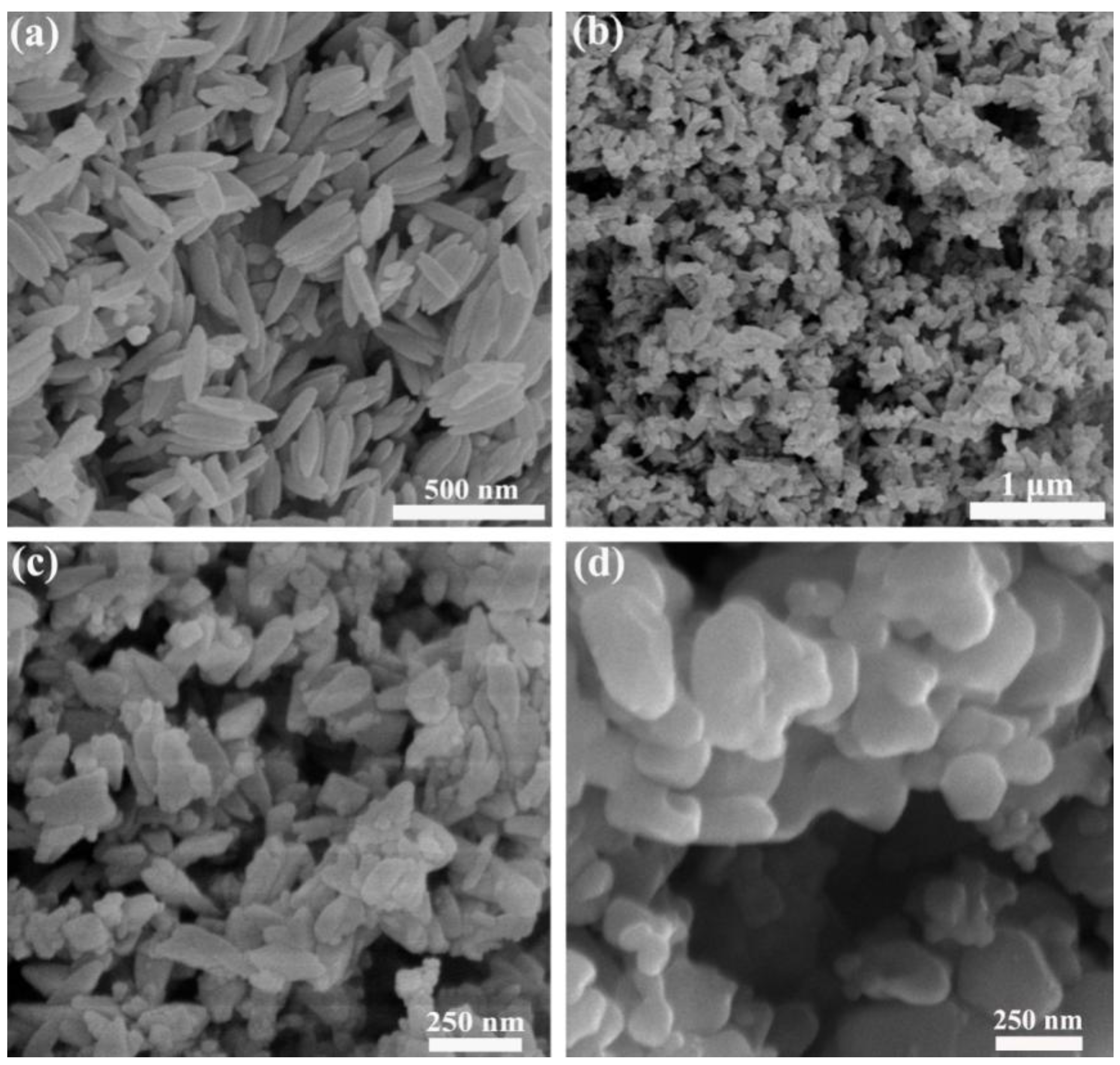 Nanomaterials 11 02650 g002