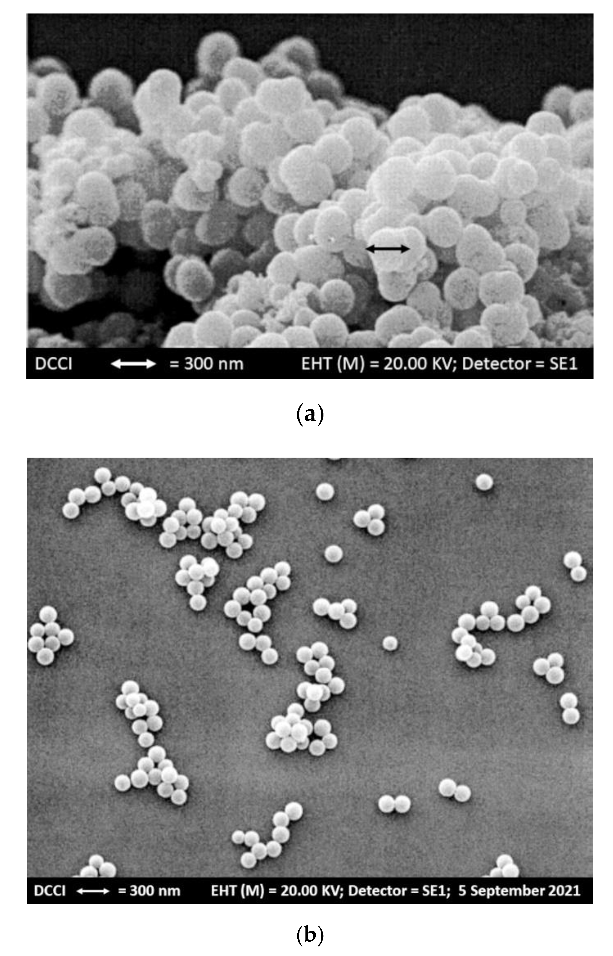 Nanomaterials 11 02662 g008