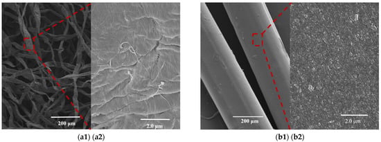 Nanomaterials 11 02664 g004a Nanomaterials 11 02664 g004a