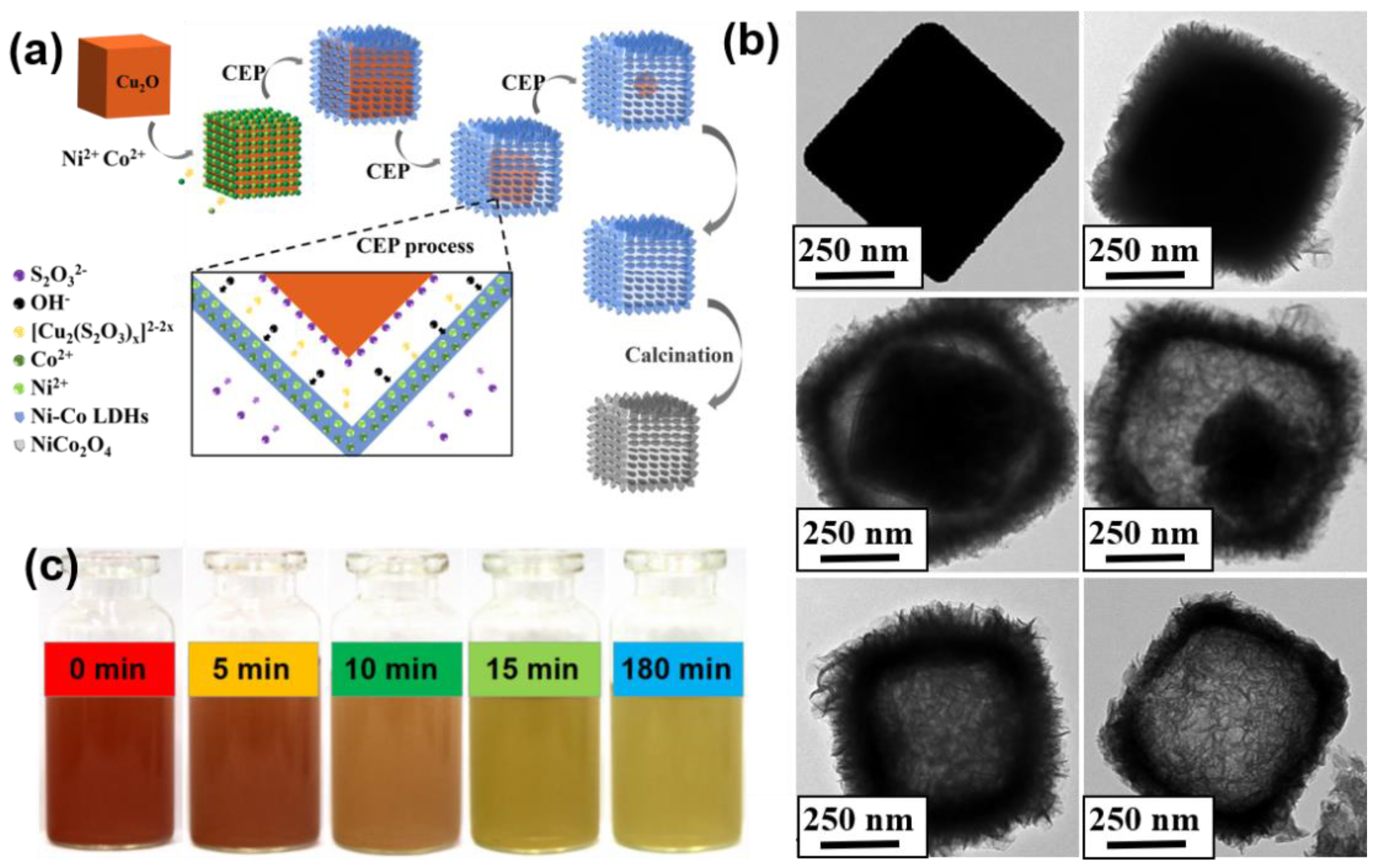 Nanomaterials 11 02667 g001