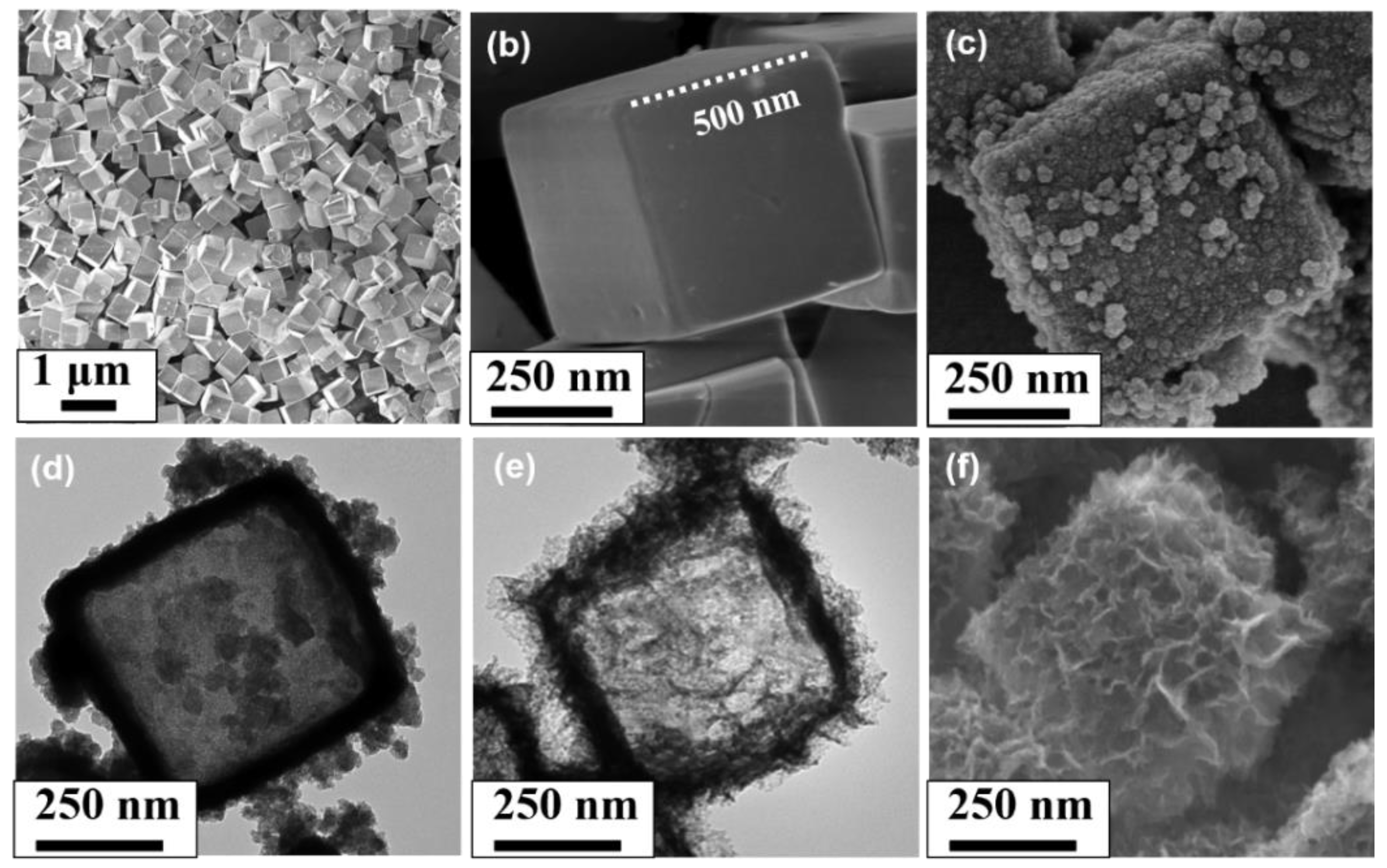 Nanomaterials 11 02667 g003