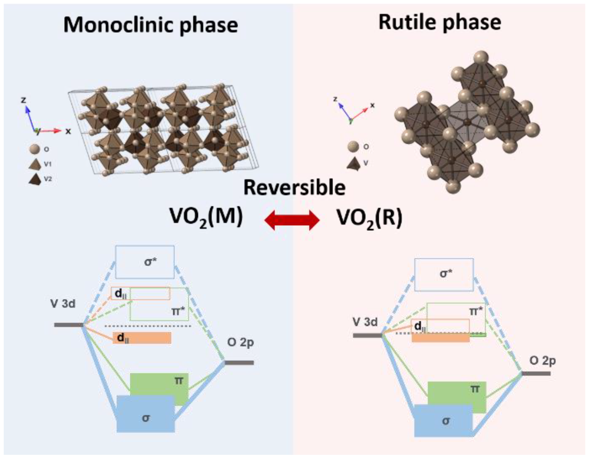 Nanomaterials 11 02674 g001