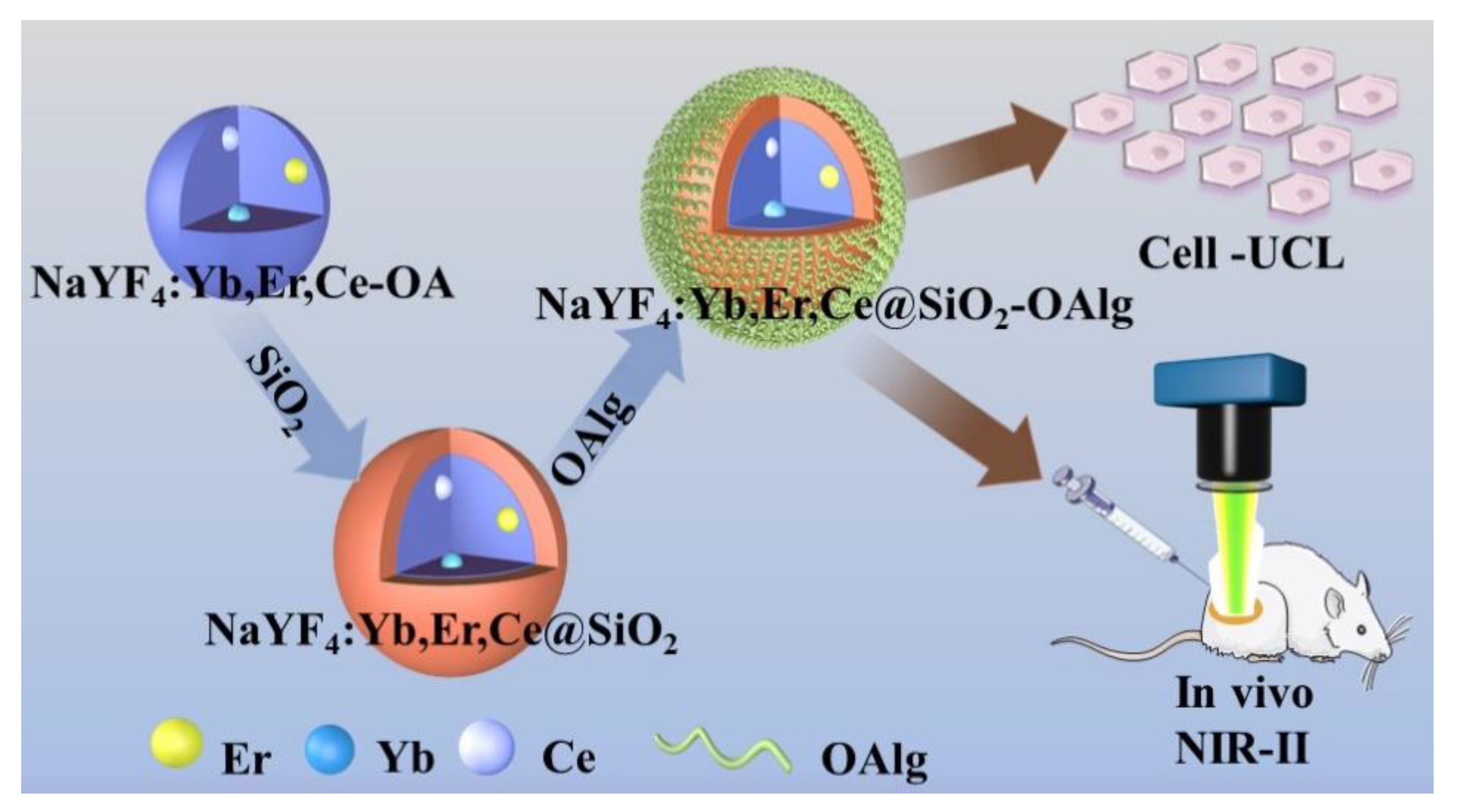 Nanomaterials 11 02676 g001