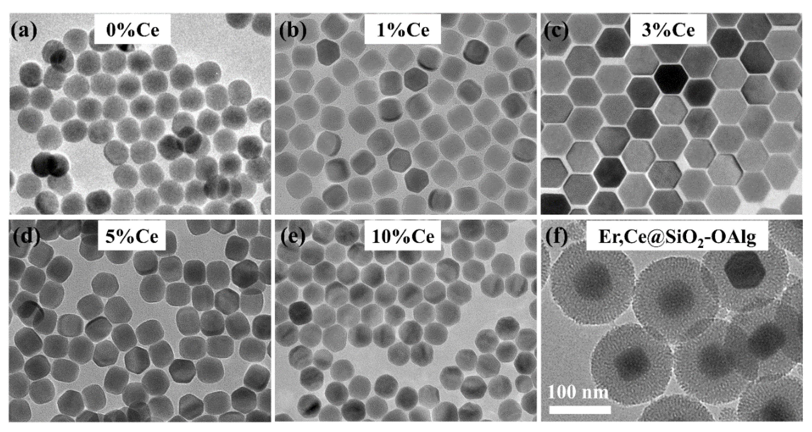 Nanomaterials 11 02676 g002