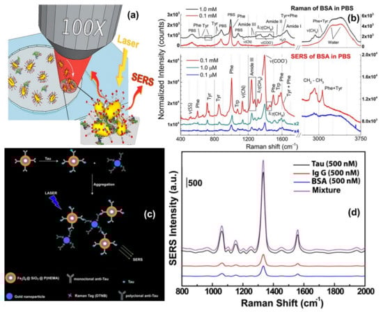 Nanomaterials 11 02679 g006 550