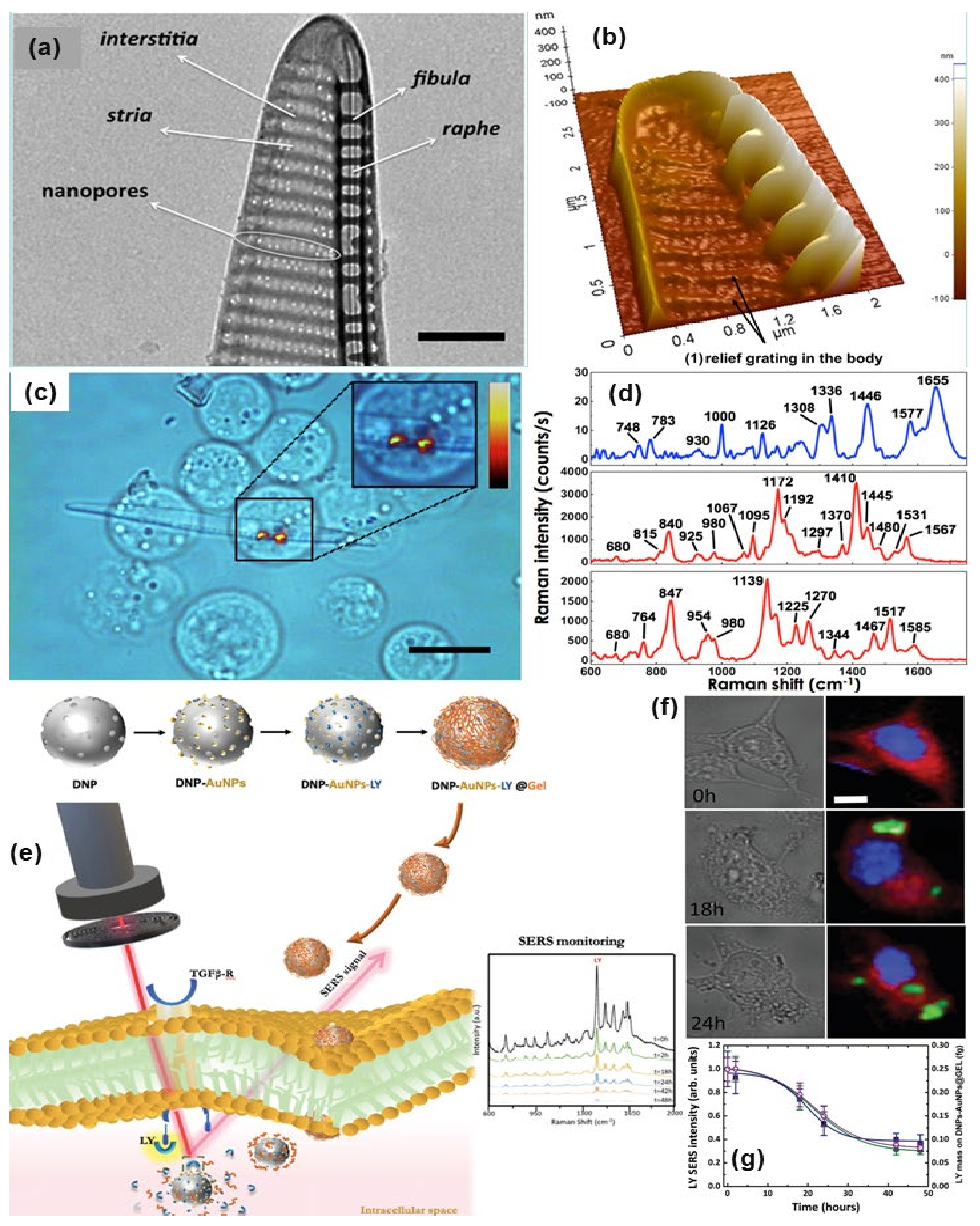 Nanomaterials 11 02679 g008