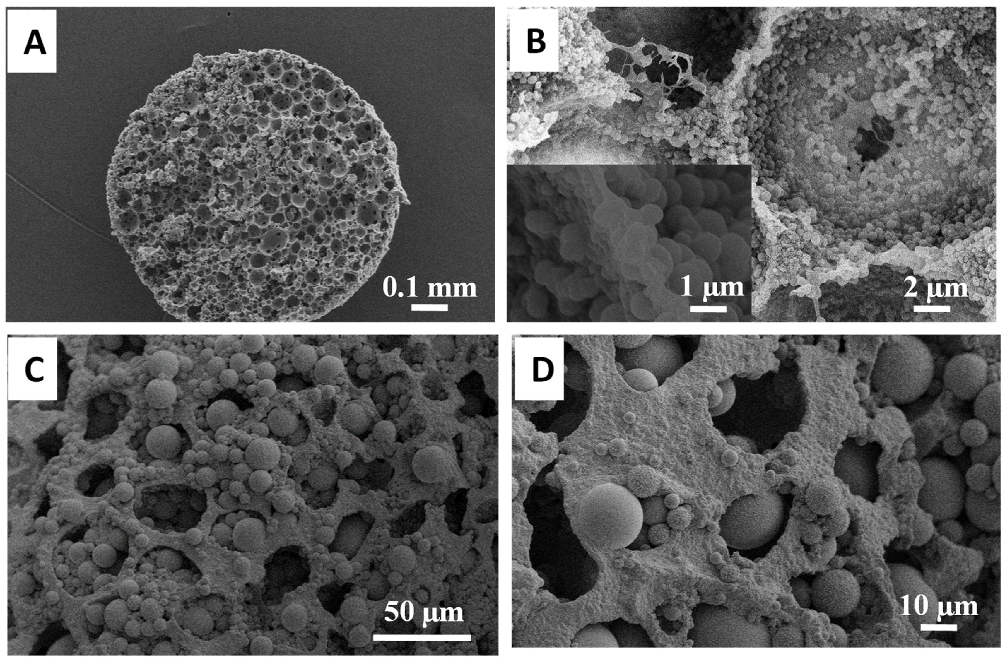 Nanomaterials 11 02681 g001