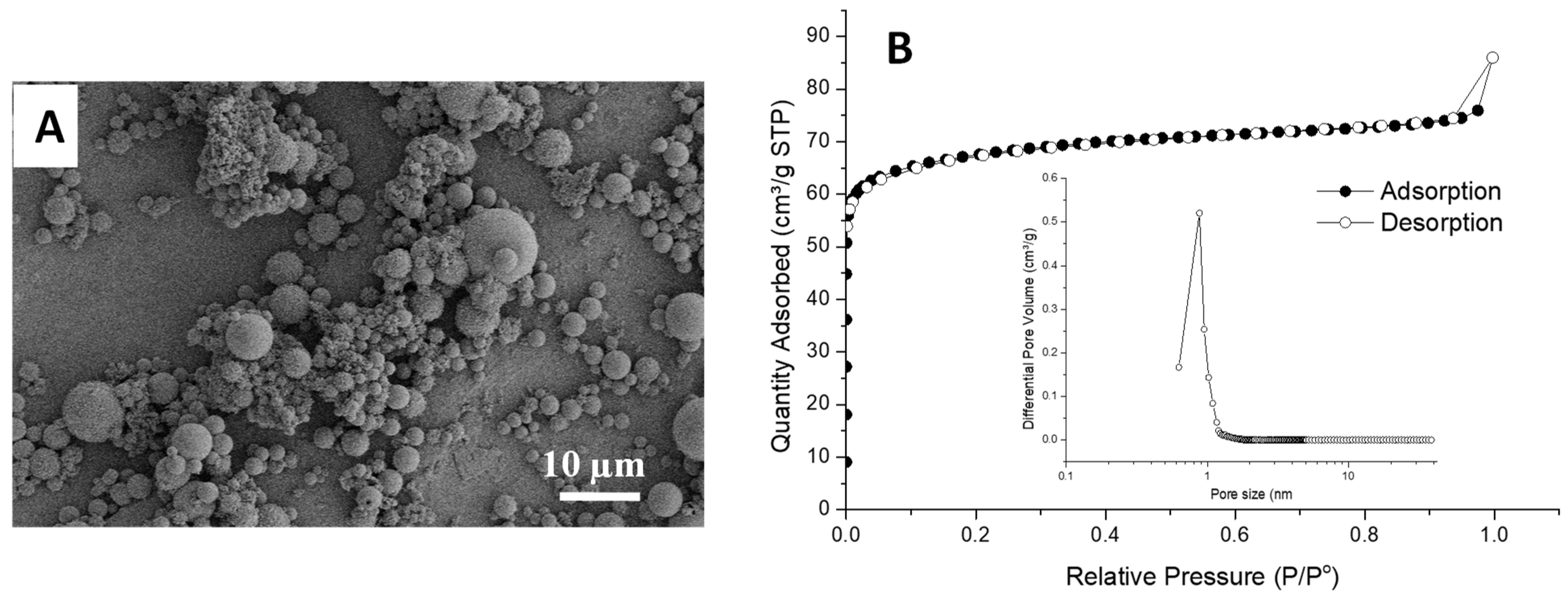 Nanomaterials 11 02681 g003