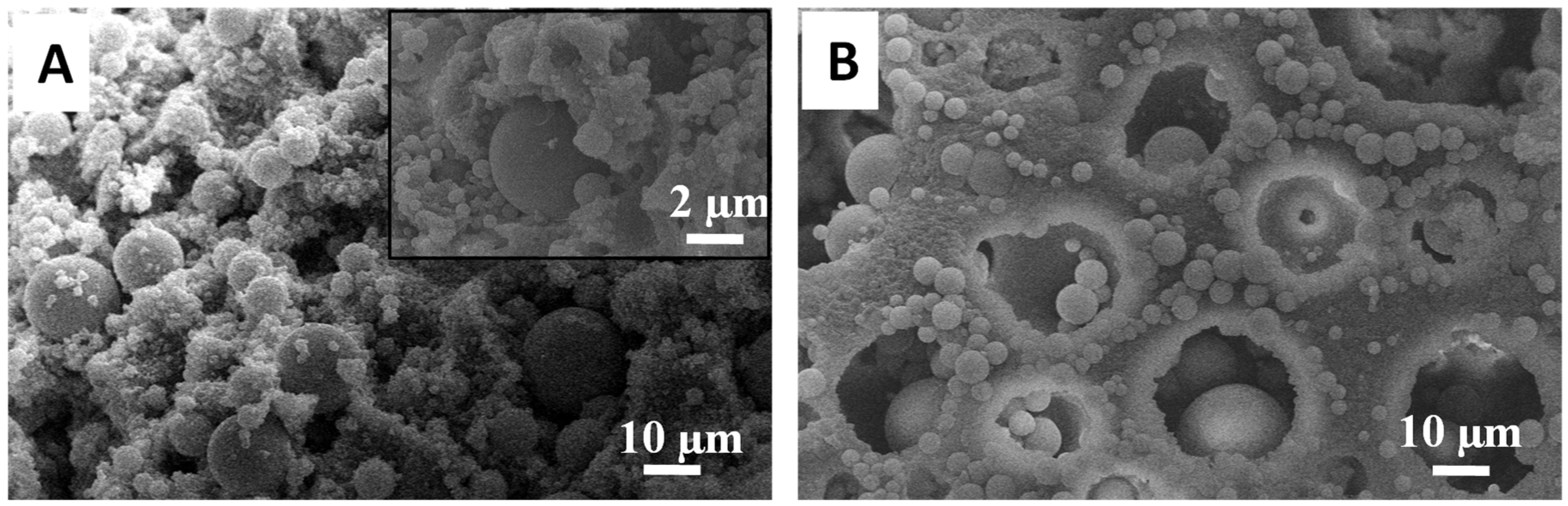 Nanomaterials 11 02681 g004