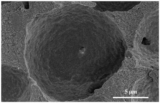 Nanomaterials 11 02681 g0a1 550