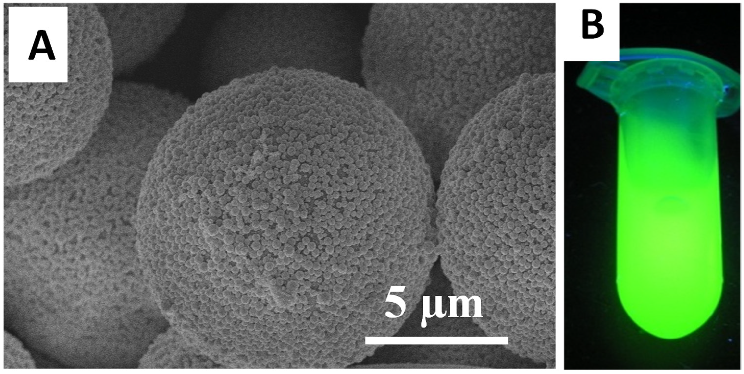 Nanomaterials 11 02681 g0a2