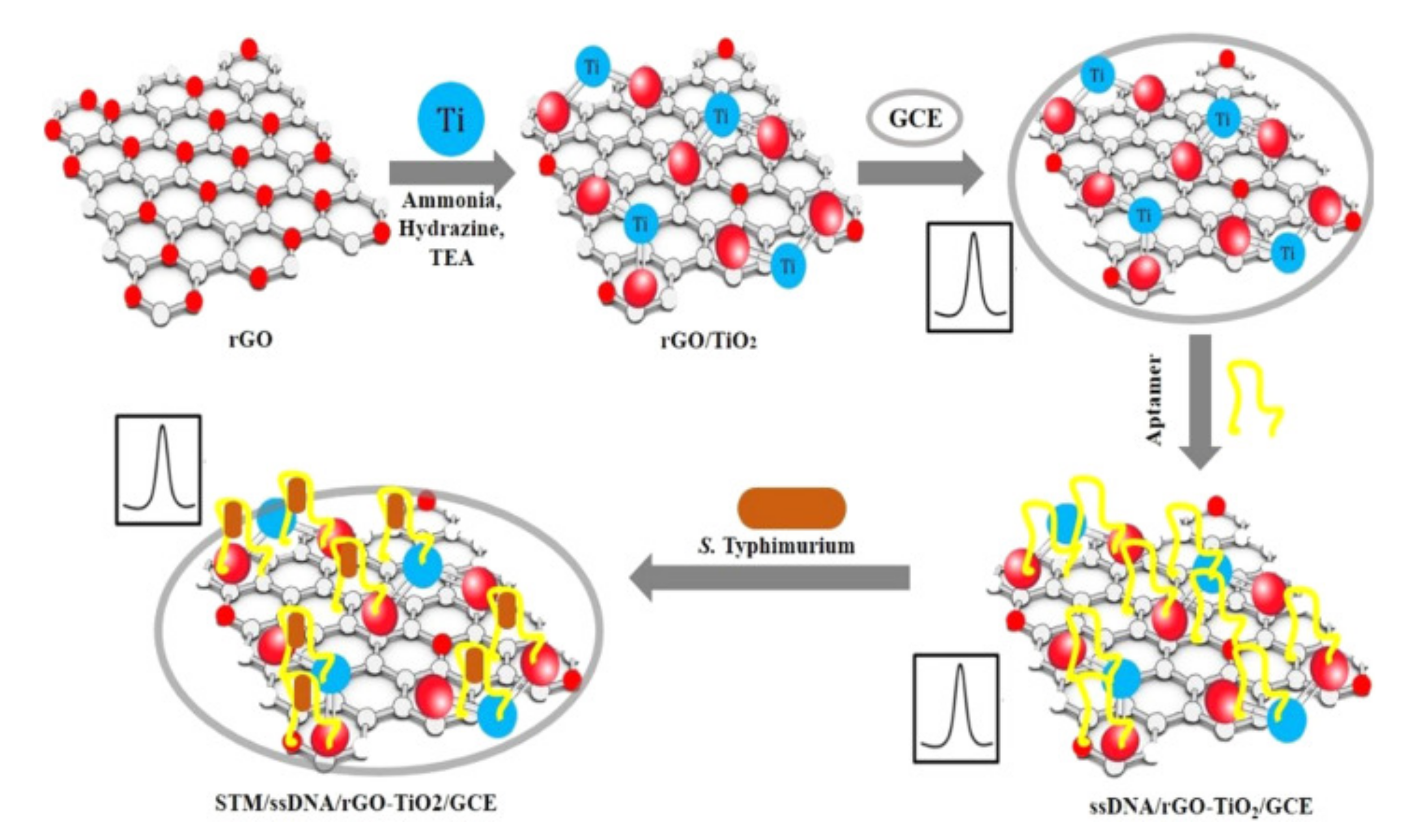 Nanomaterials 11 02700 g004