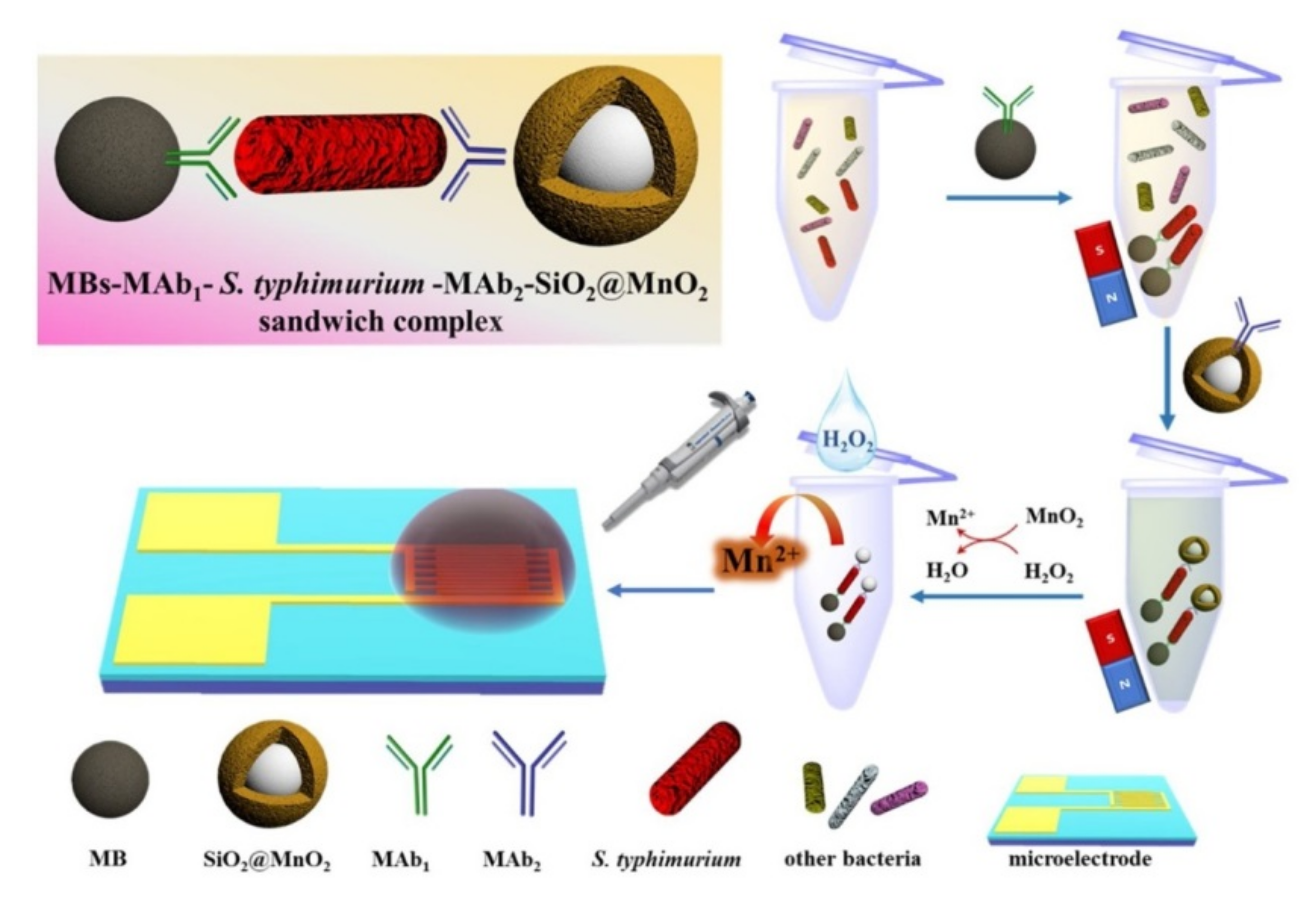 Nanomaterials 11 02700 g005