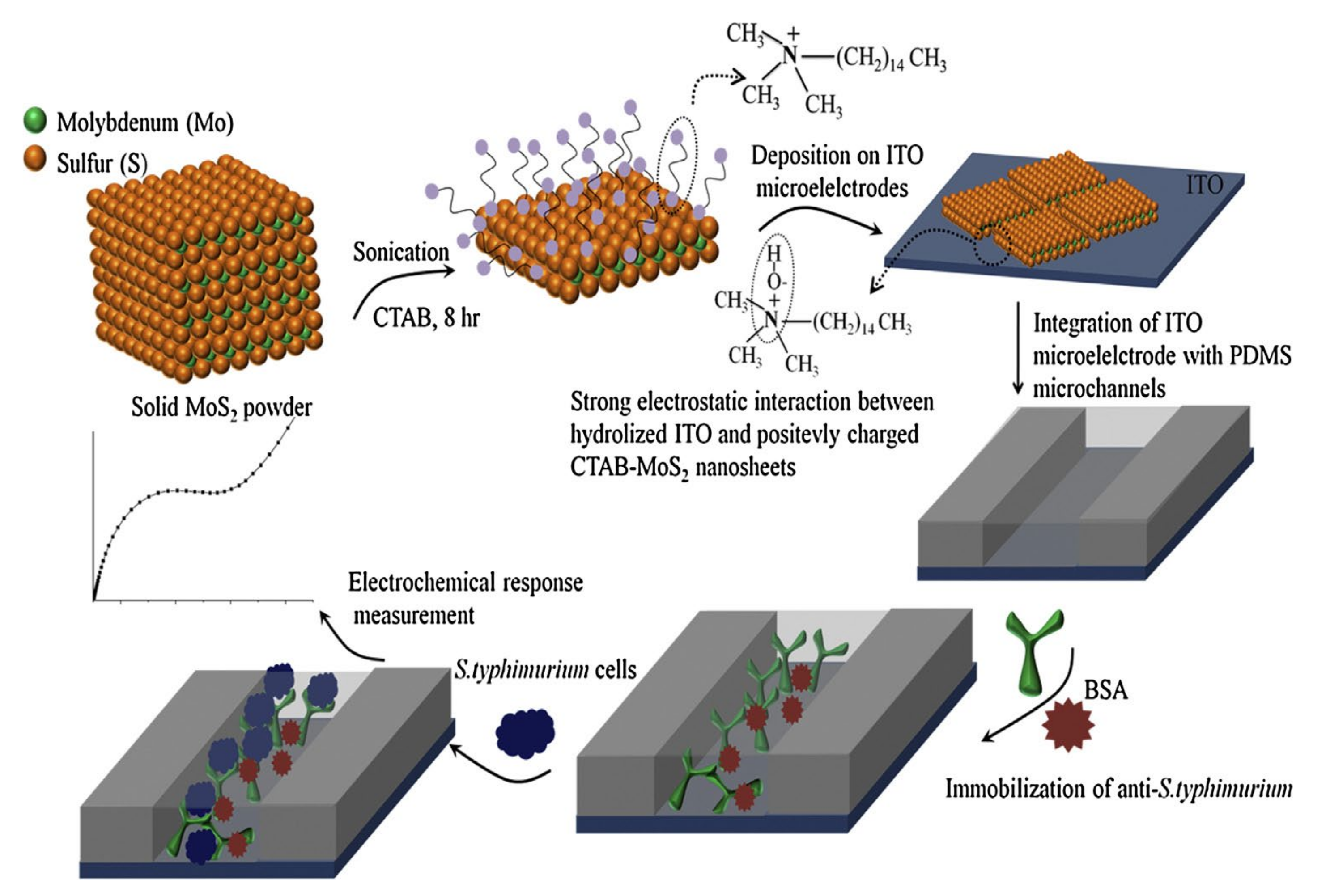 Nanomaterials 11 02700 g011