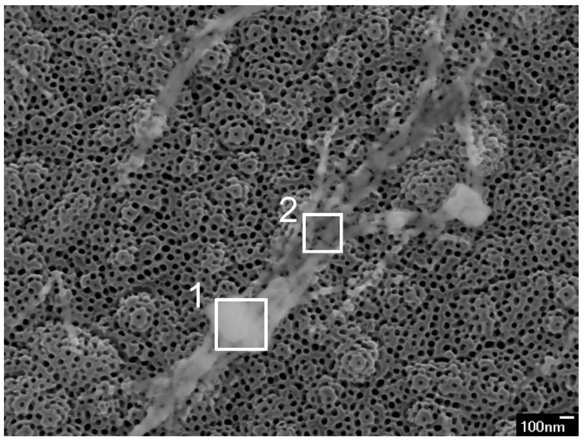 Nanomaterials 11 02714 g002